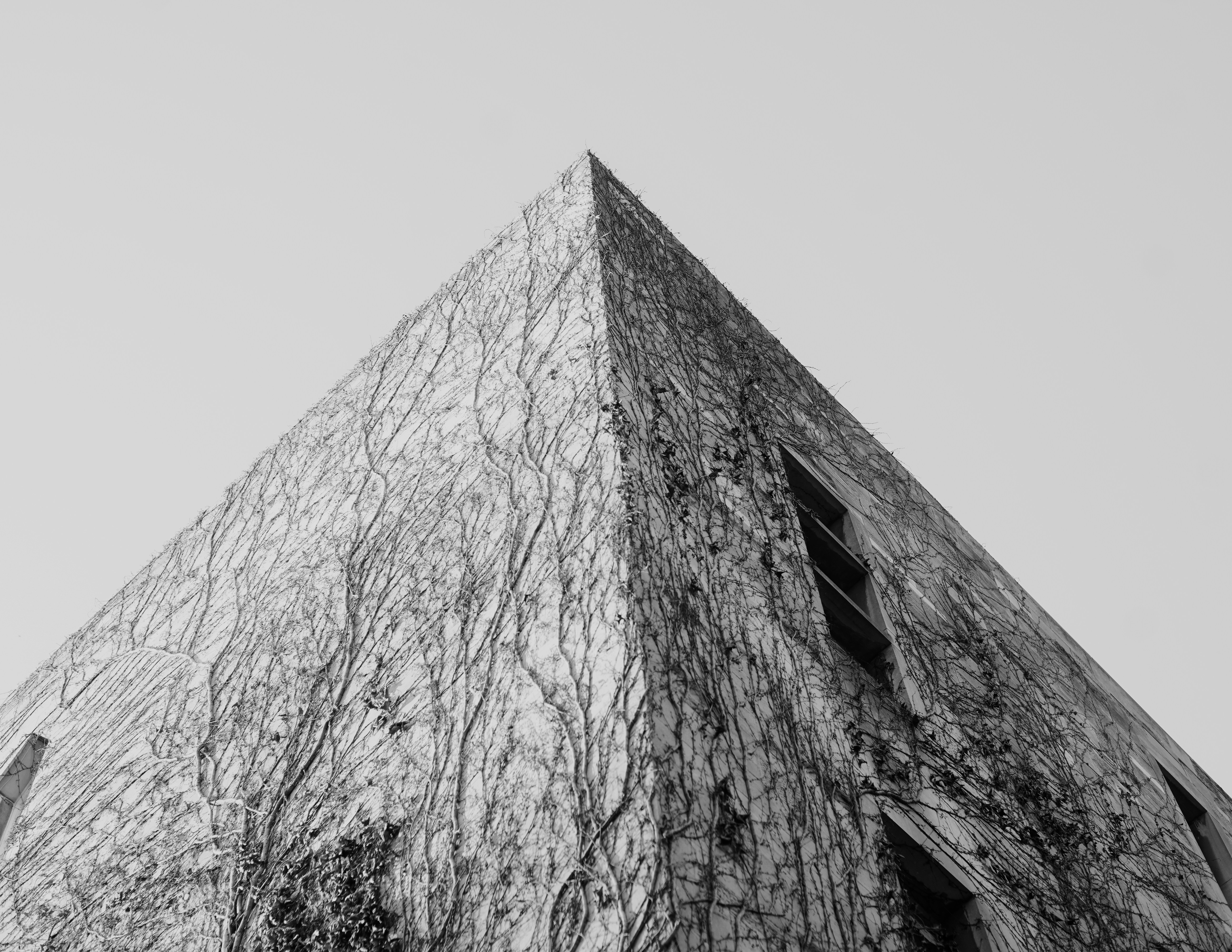 Photo by thewingmanto