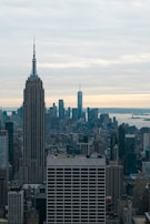 A cityscape featuring prominent skyscrapers, with the notable Empire State Building in the foreground. The skyline extends into the distance with more modern buildings, and the sky is overcast with muted light.