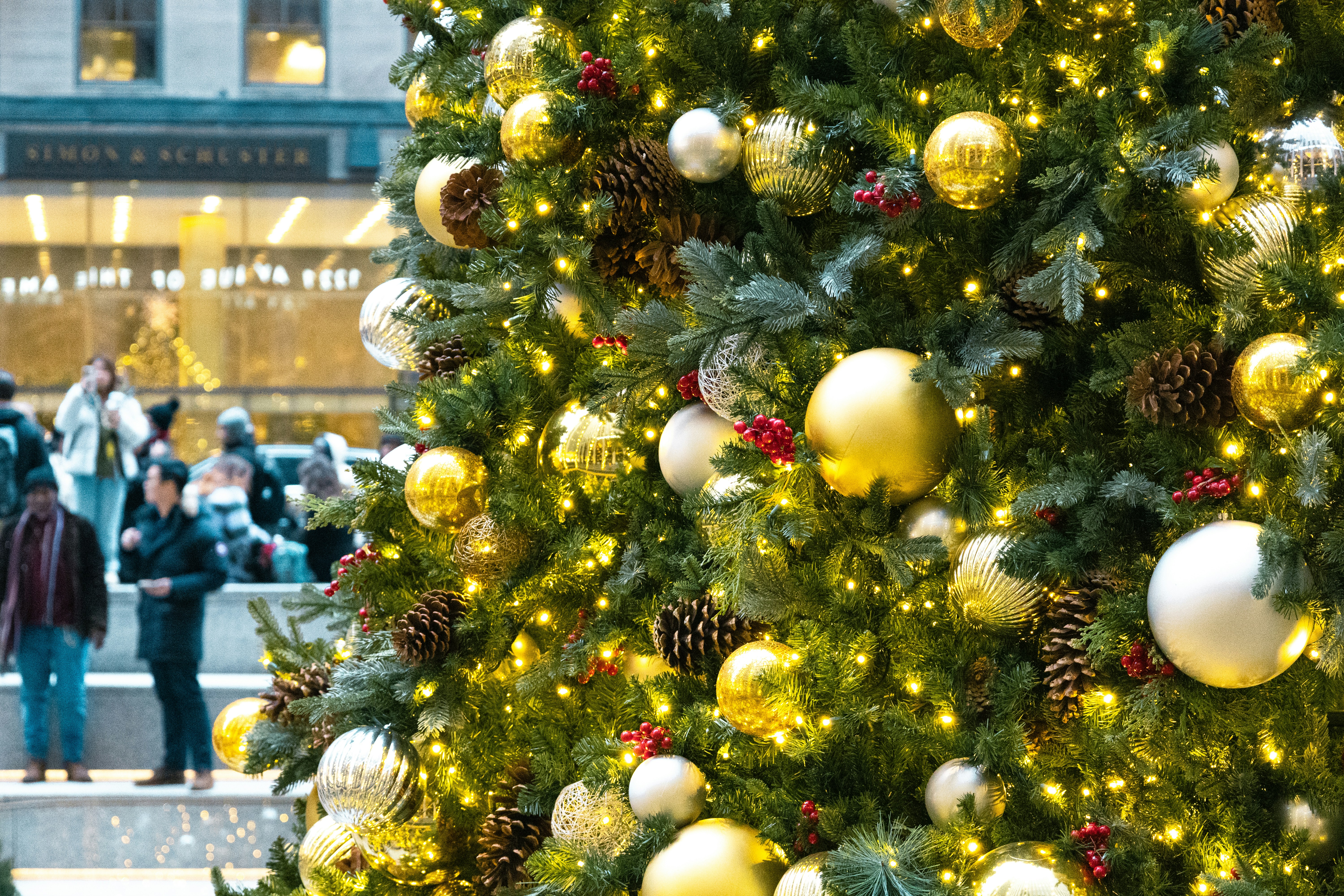 Photo by vincentyuan87