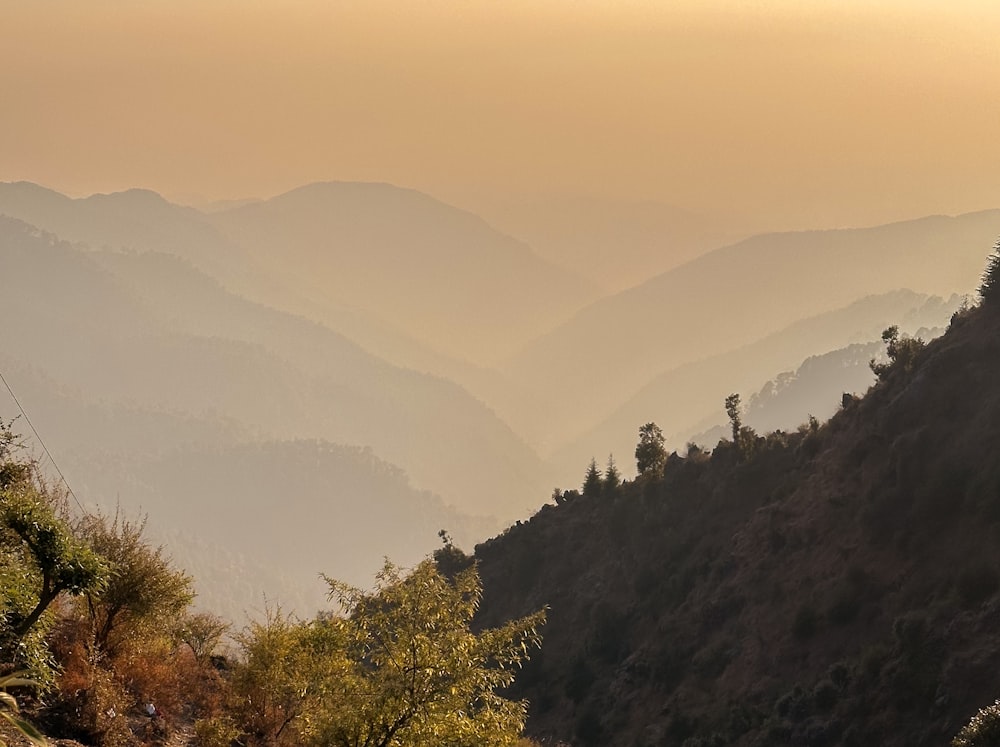 a view of a mountain range with trees in the foreground