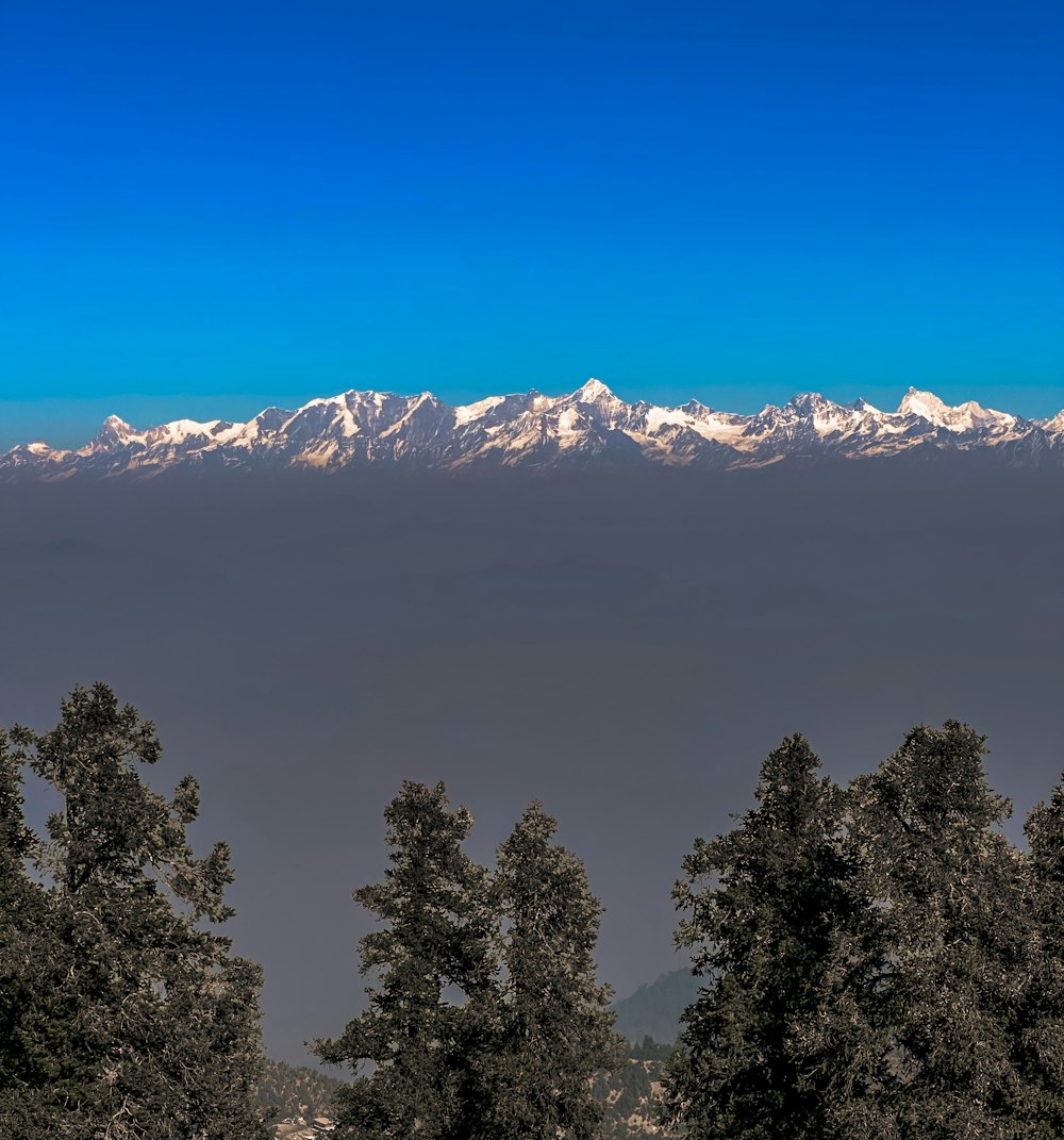 a view of a mountain range with trees in the foreground