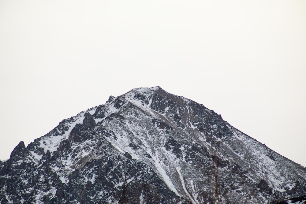 a snow covered mountain with a bird flying over it