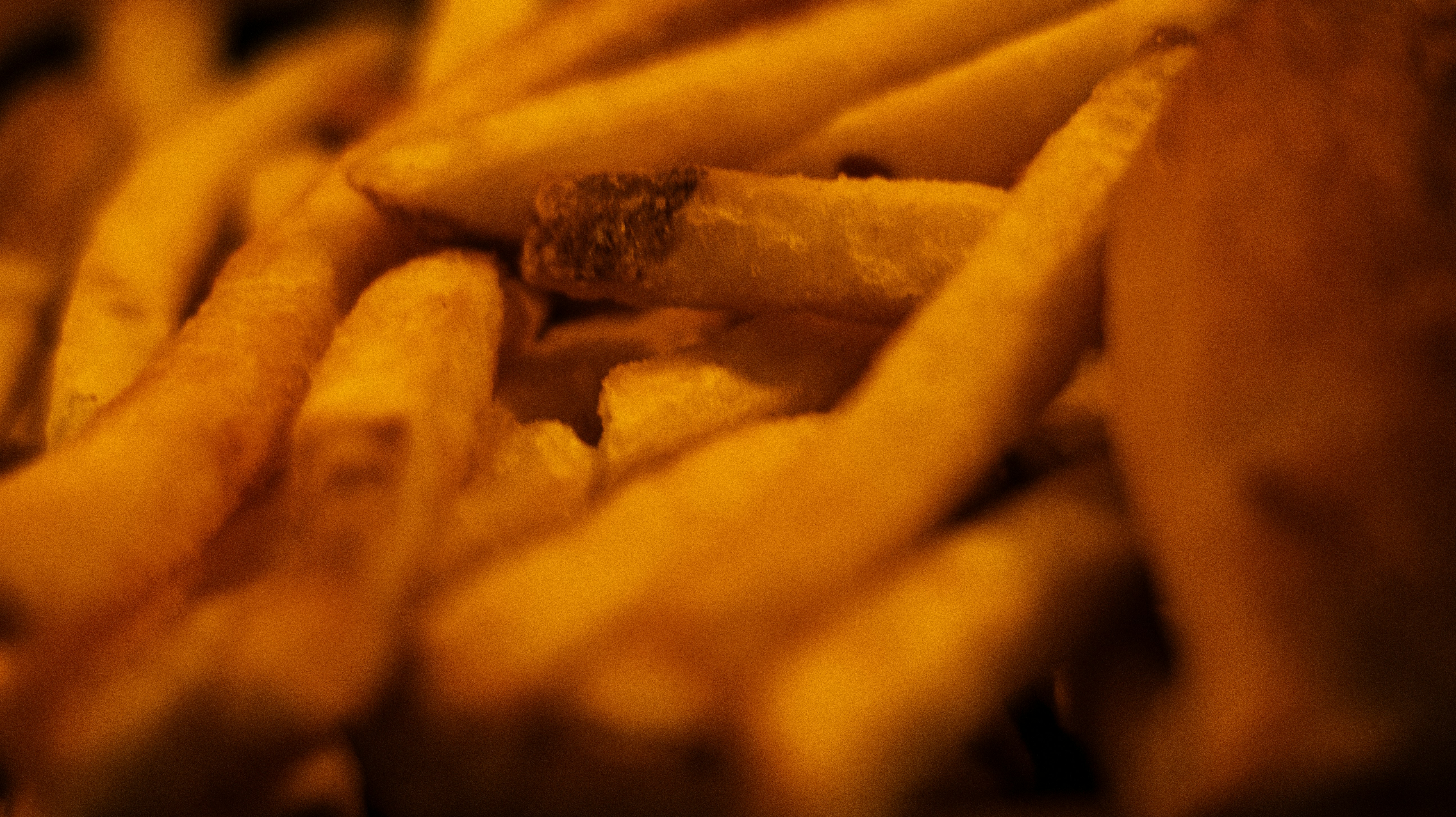 Photo by benjirokaneki