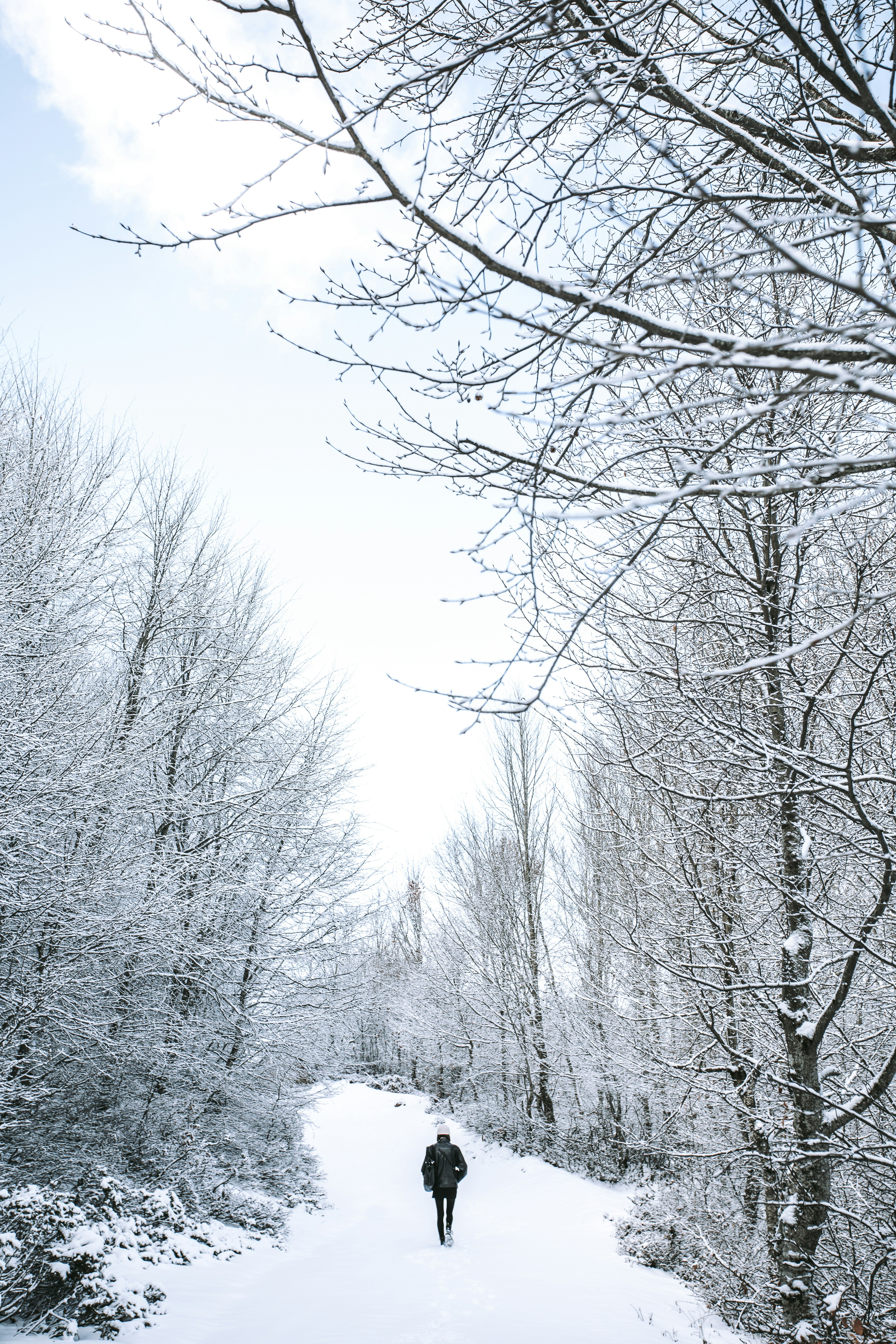 a person walking down a snow covered path