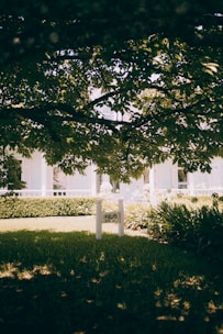 Garden area of Ilford family home with eilya properties limited logo.