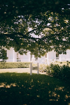 A lush garden with vibrant green foliage and a manicured lawn is partly shaded by a large tree. A white wooden sign with the number 160 is placed amidst the greenery. In the background, the facade of a white house is visible, adorned with large windows.