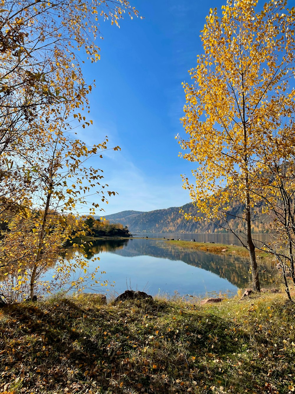 a body of water surrounded by trees with yellow leaves