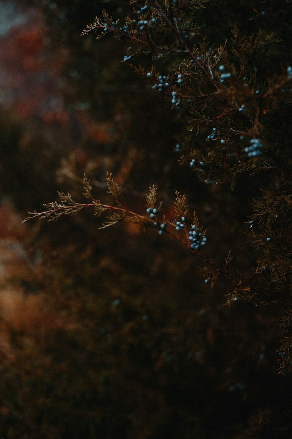 a bird is perched on a tree branch