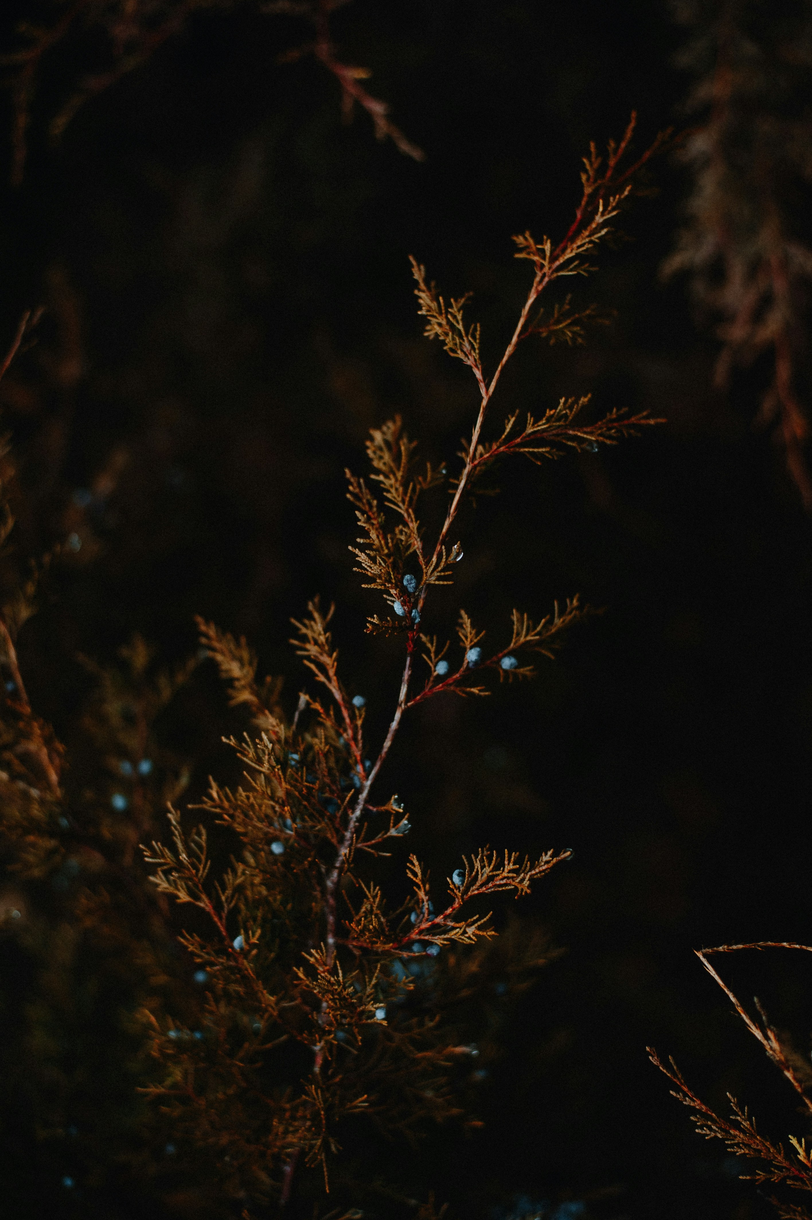 Photo by prairiepilgrim