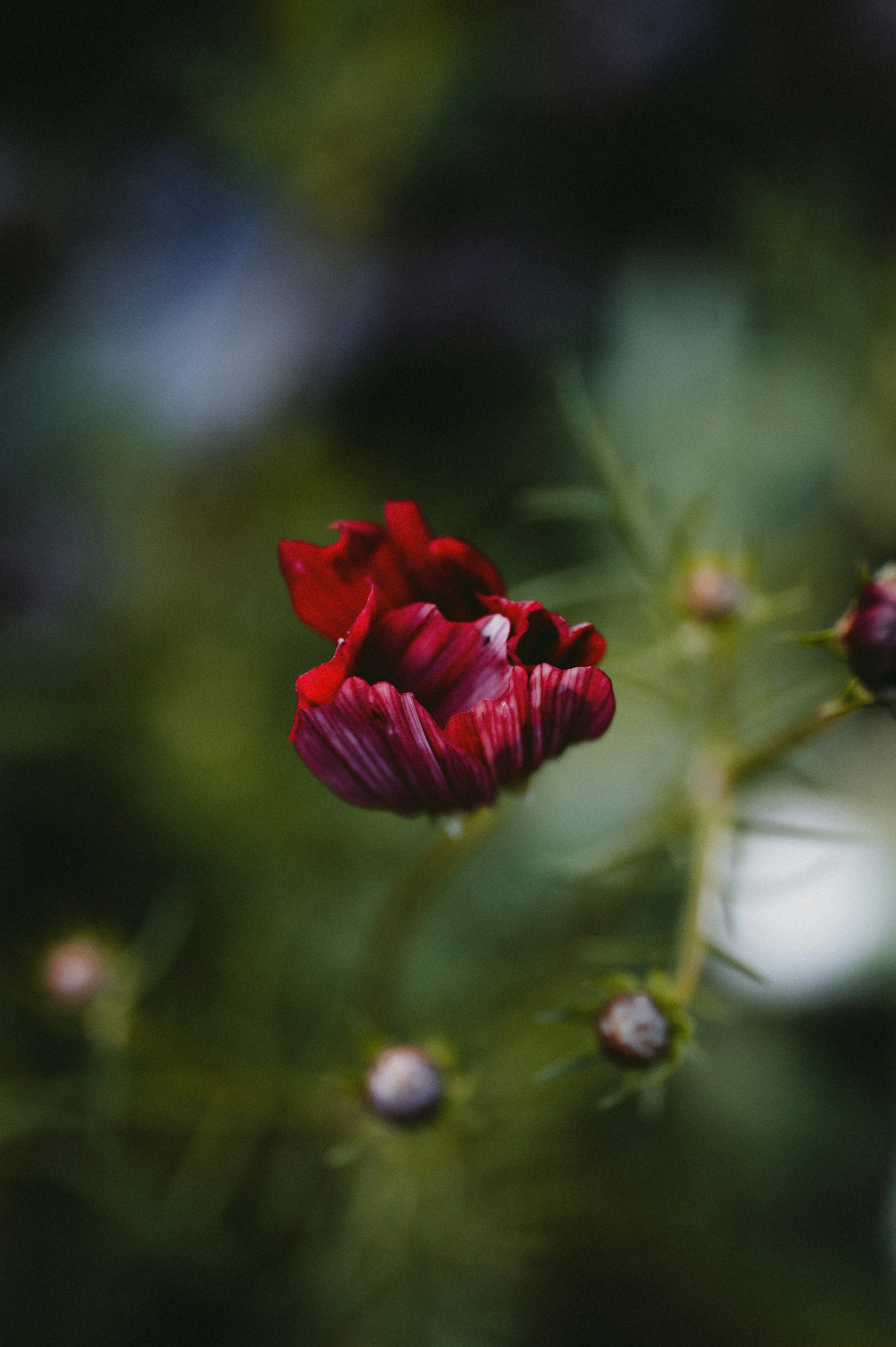 Photo by prairiepilgrim