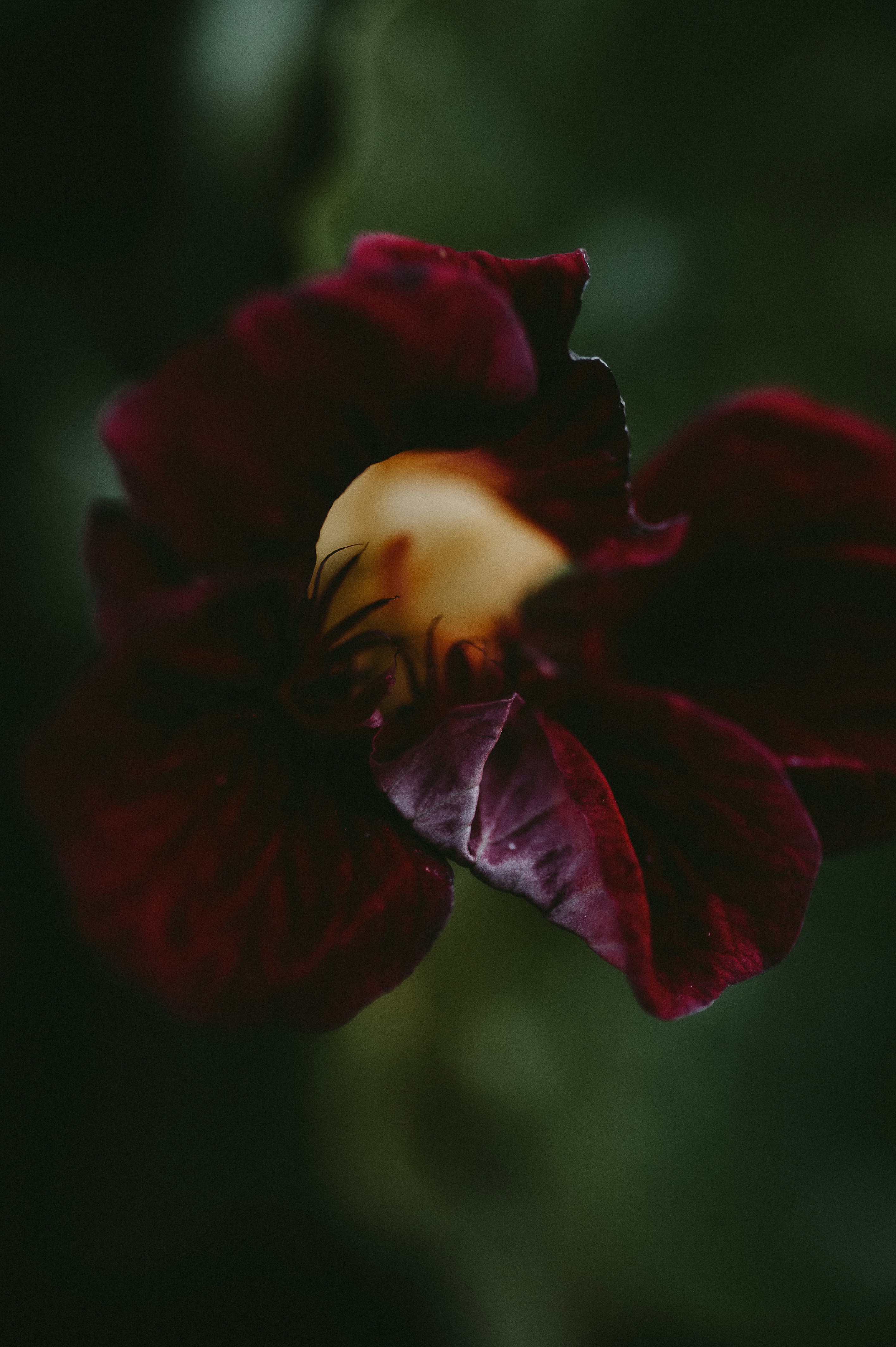 Photo by prairiepilgrim