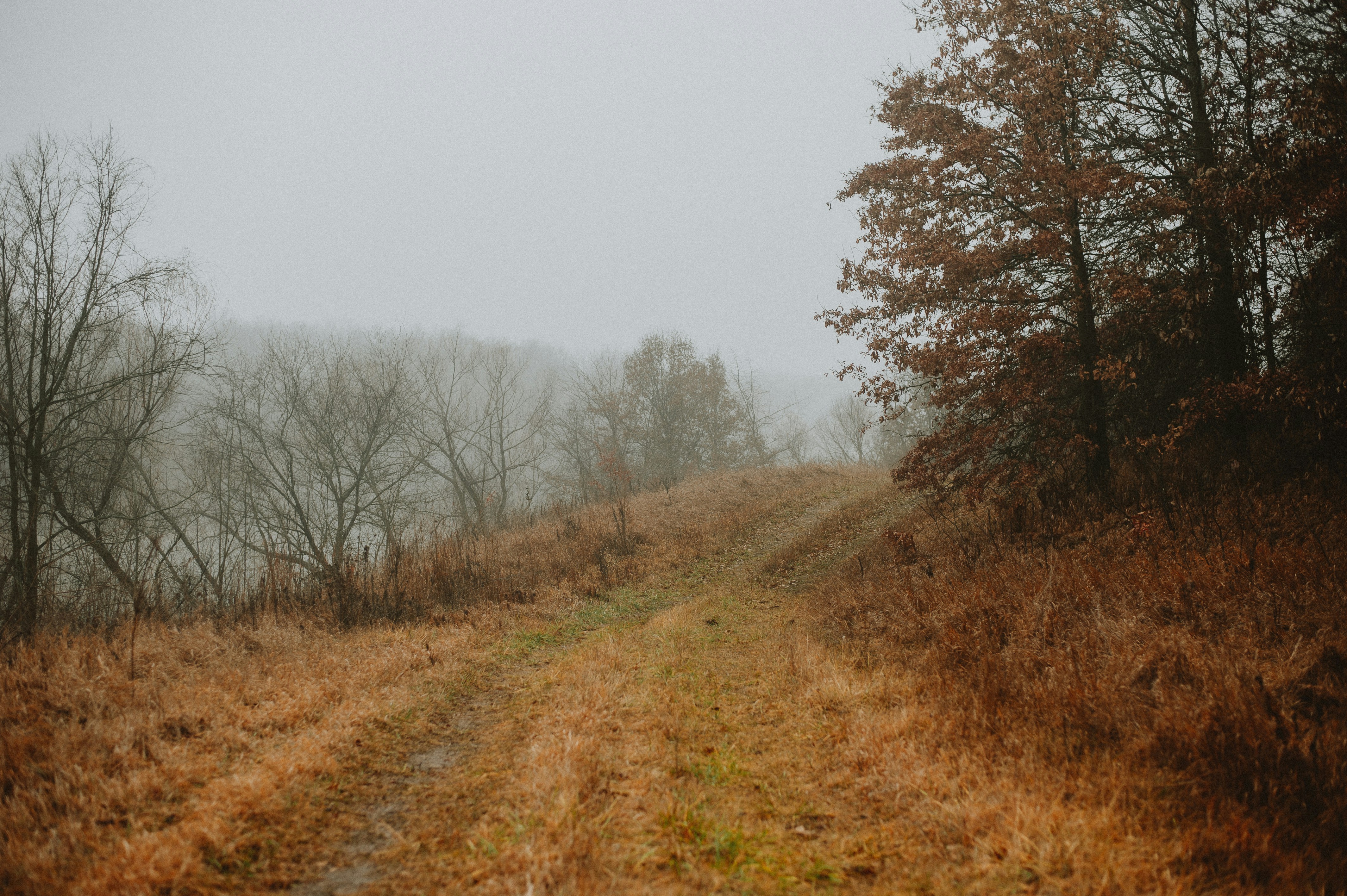 Photo by prairiepilgrim