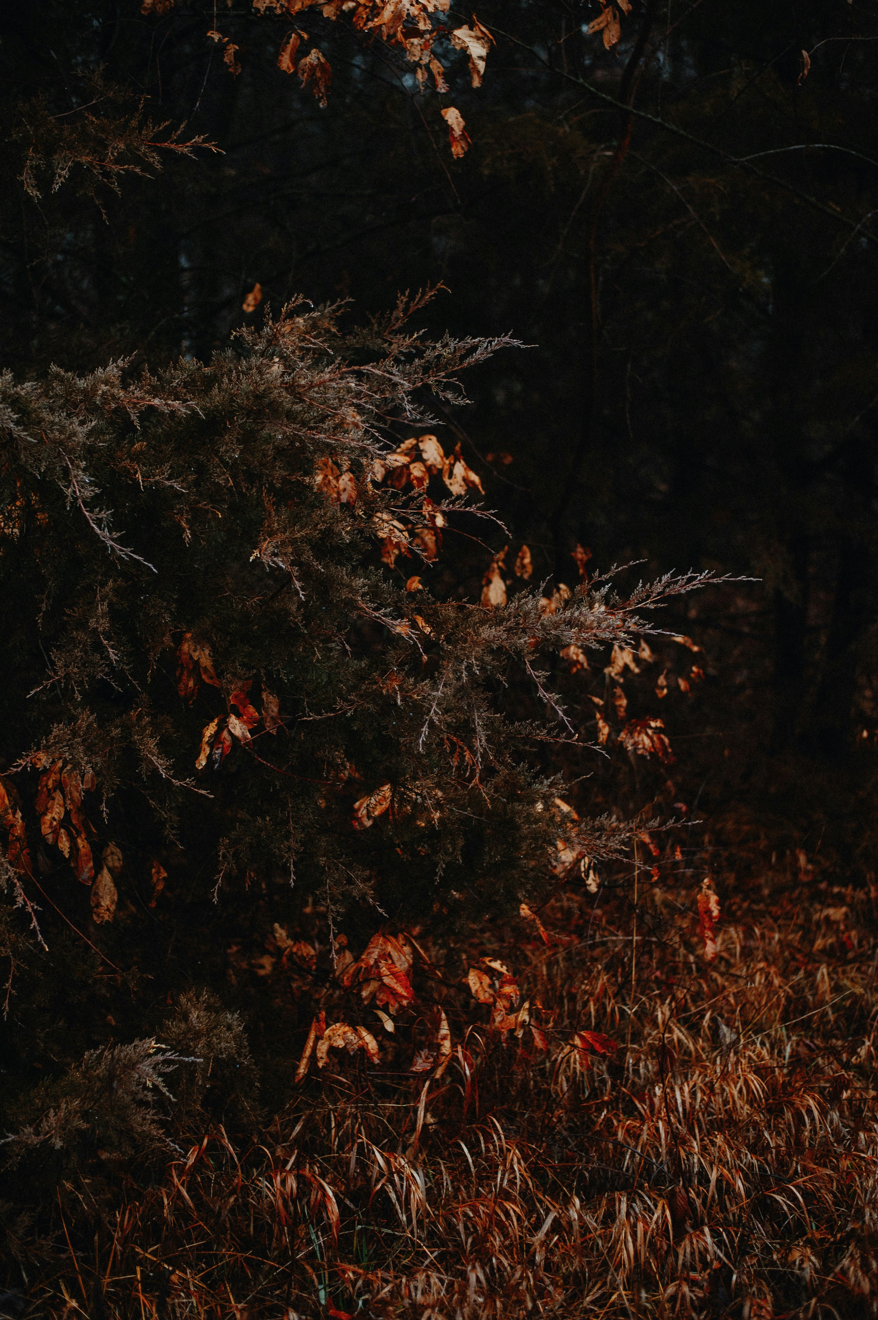 Photo by prairiepilgrim