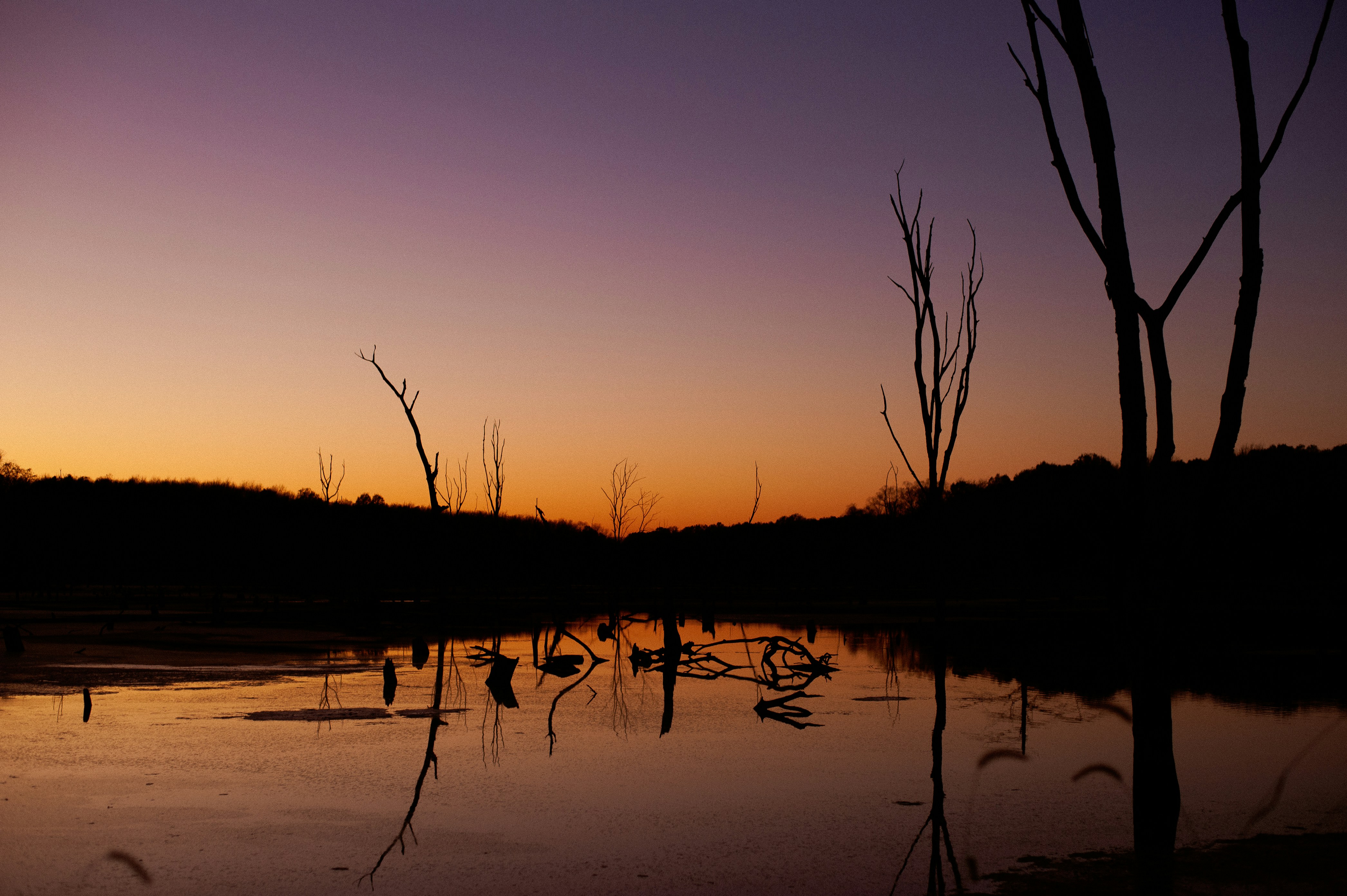 Photo by prairiepilgrim