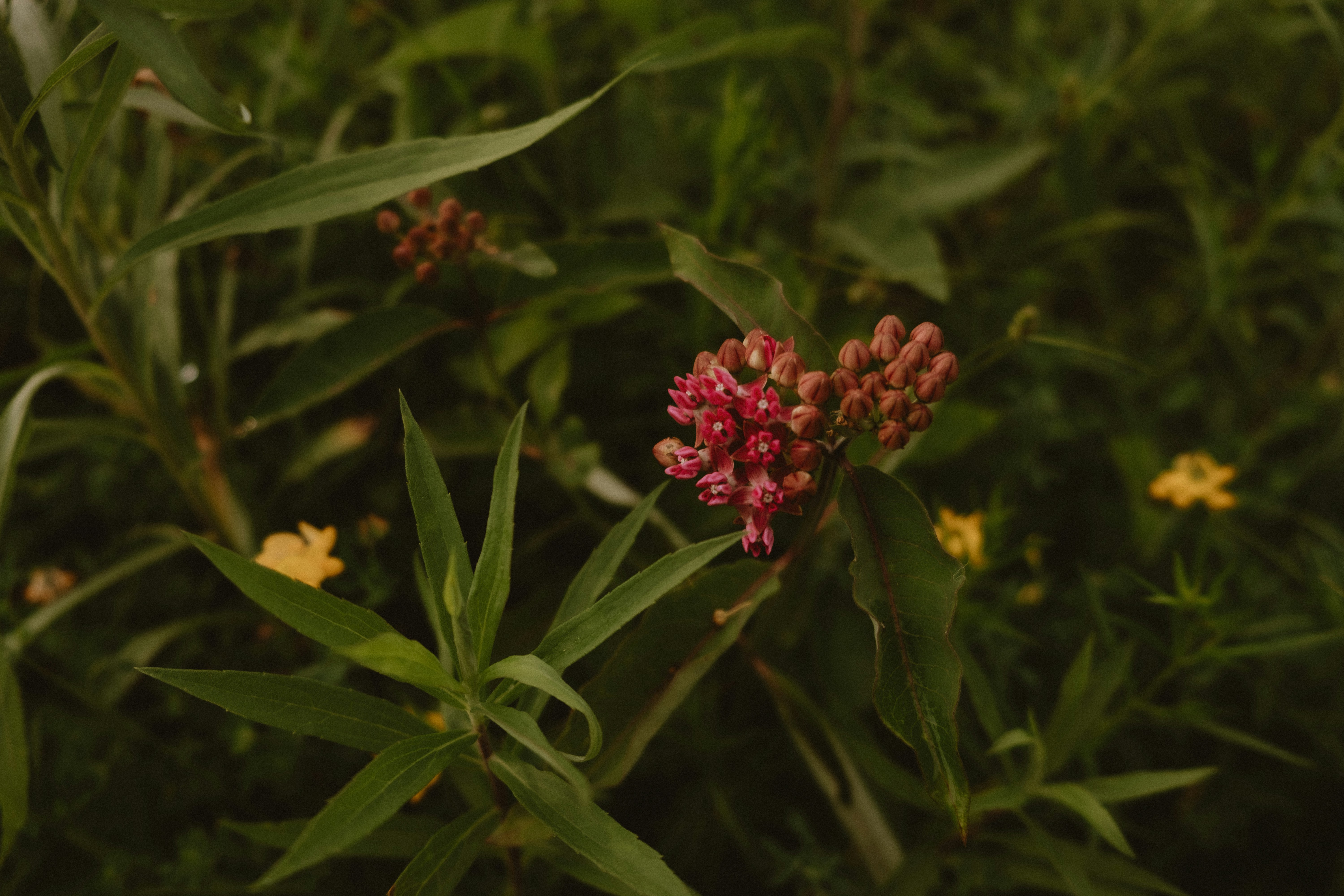 Photo by prairiepilgrim