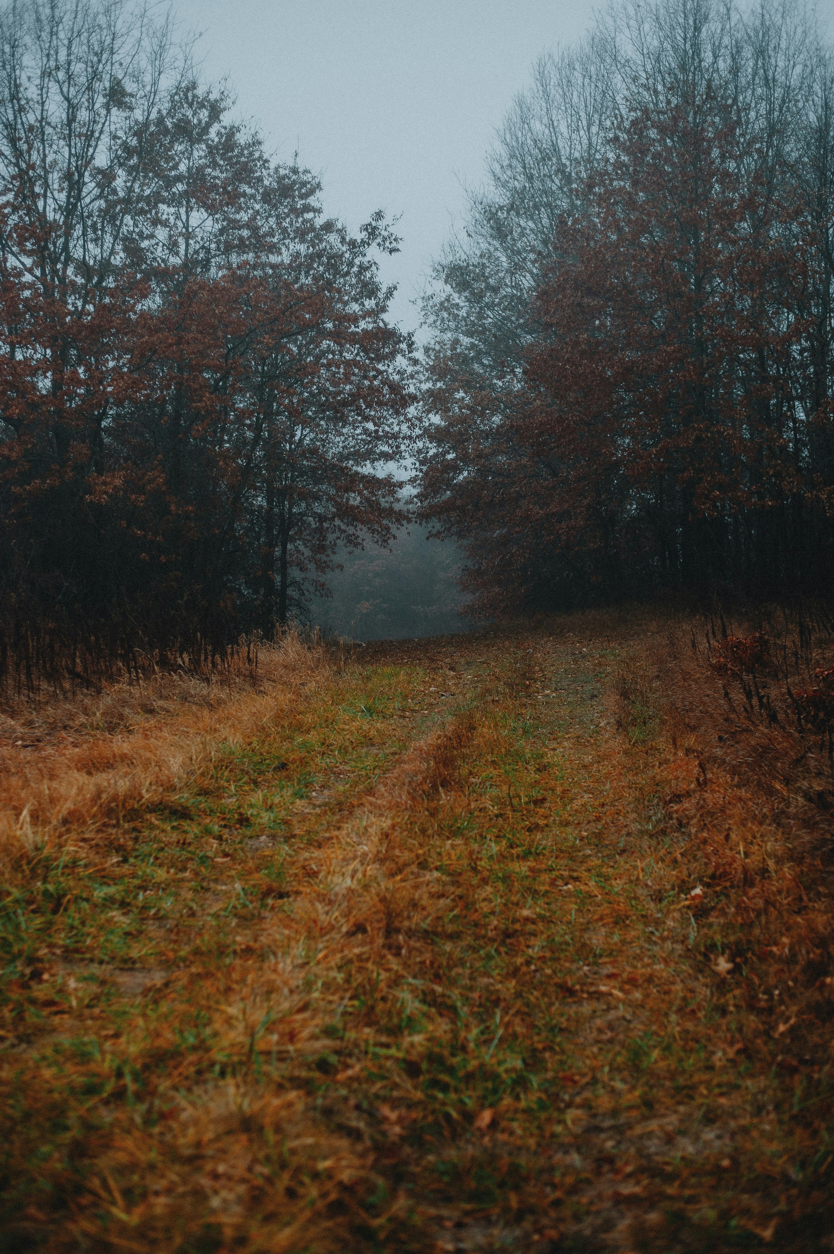 Photo by prairiepilgrim