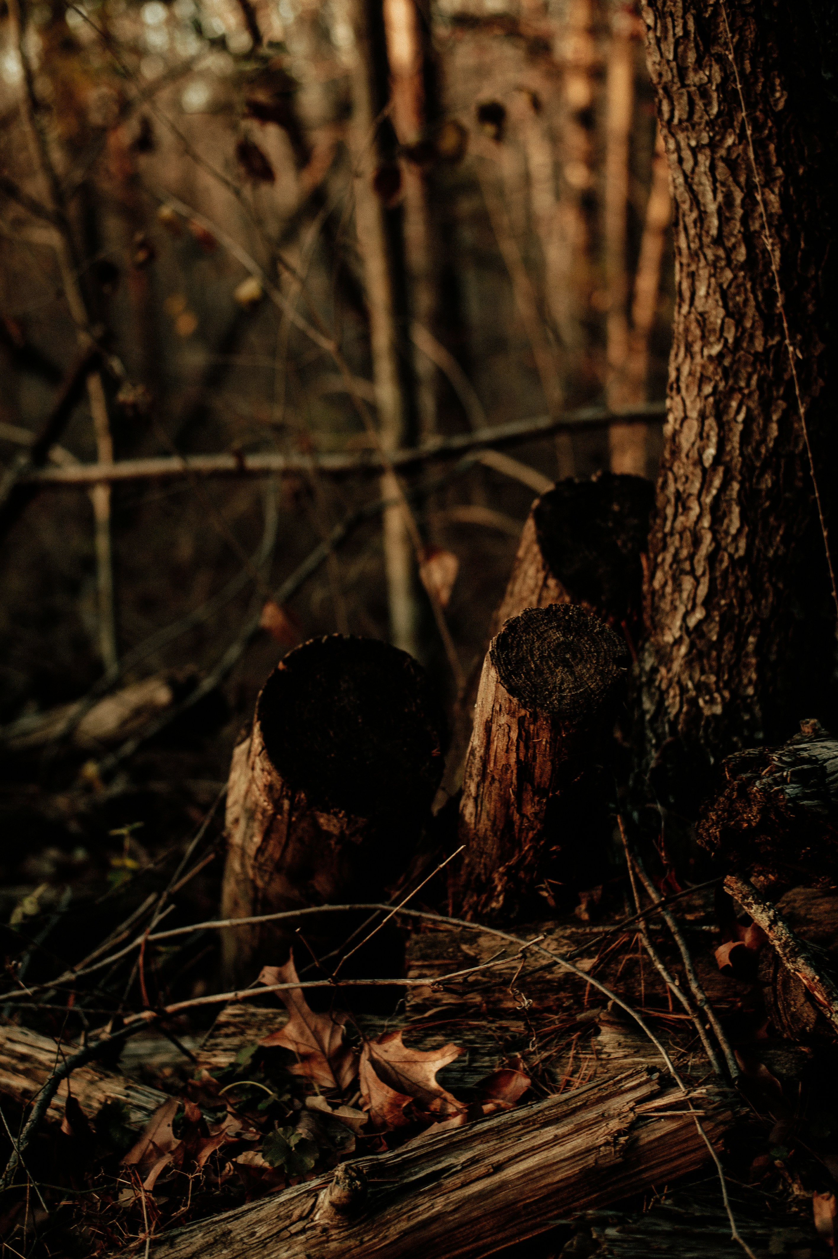 Photo by prairiepilgrim