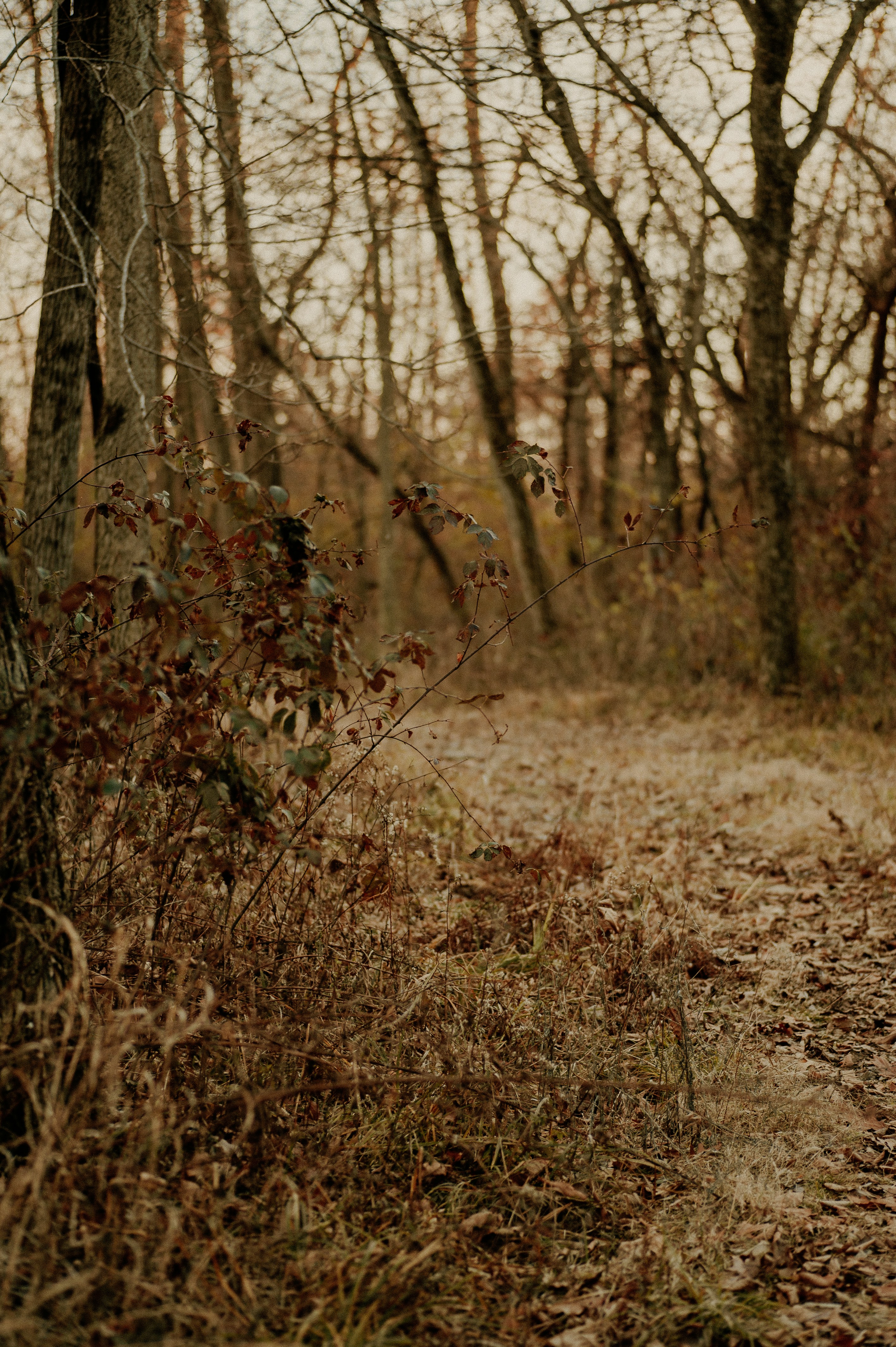 Photo by prairiepilgrim