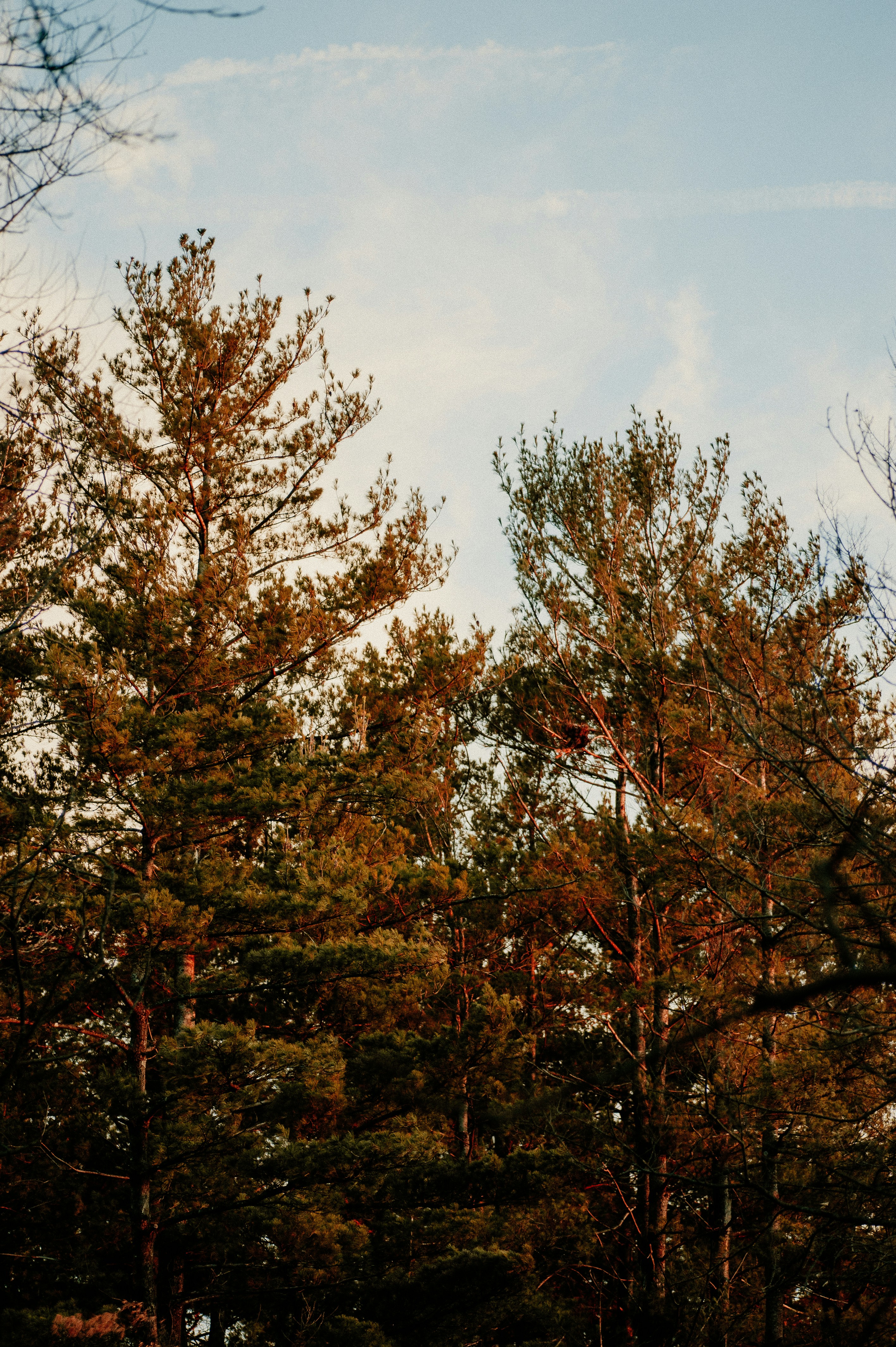 Photo by prairiepilgrim