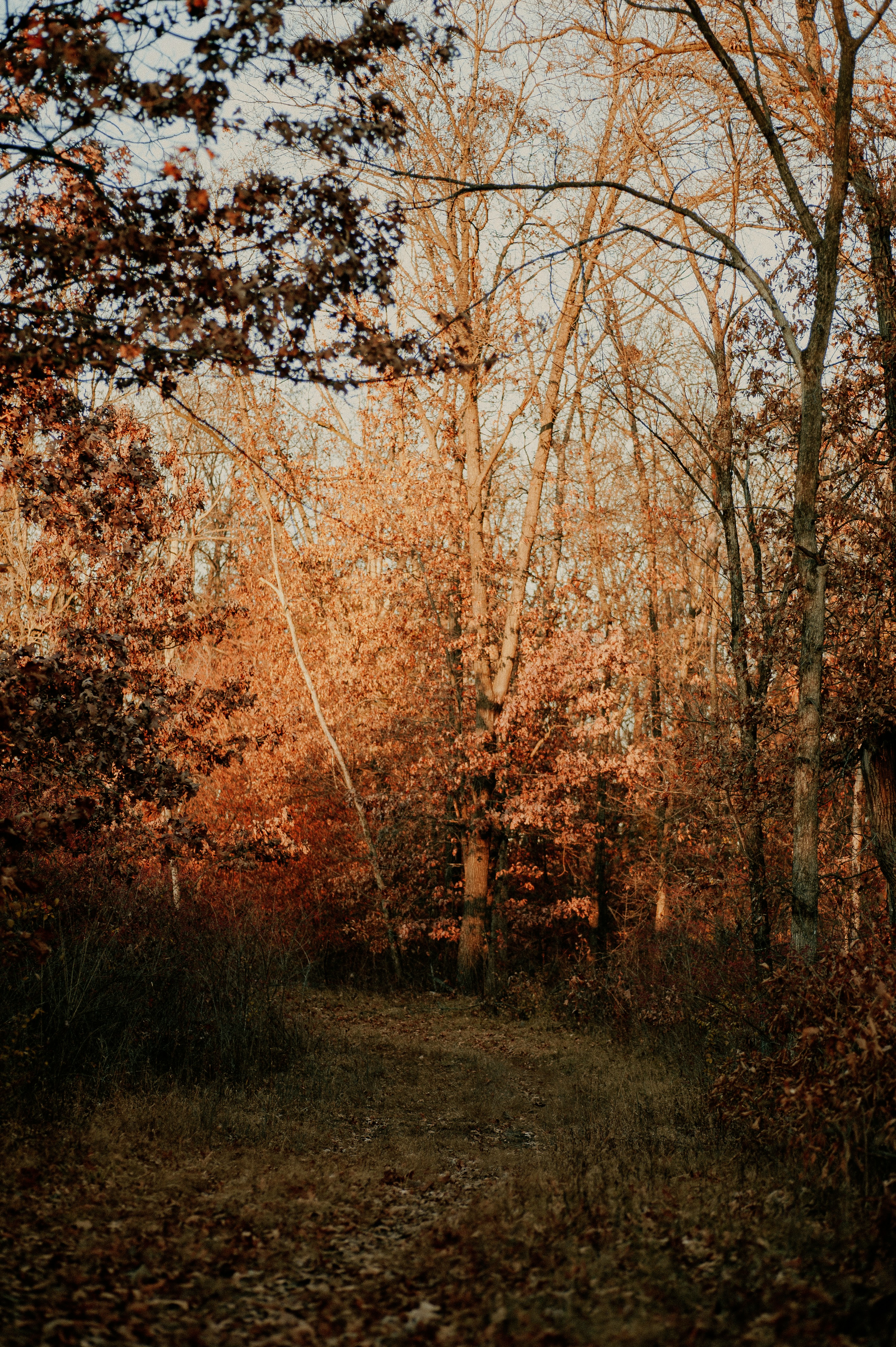 Photo by prairiepilgrim