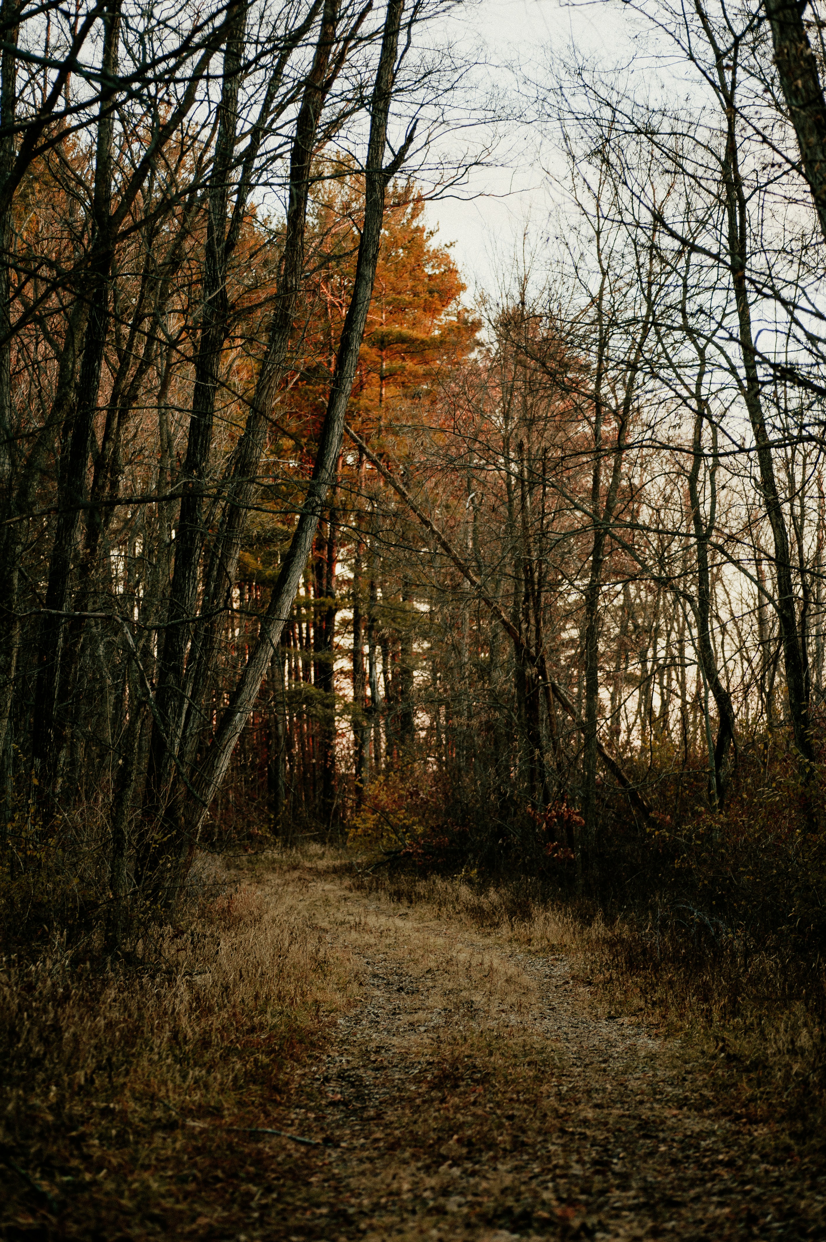 Photo by prairiepilgrim