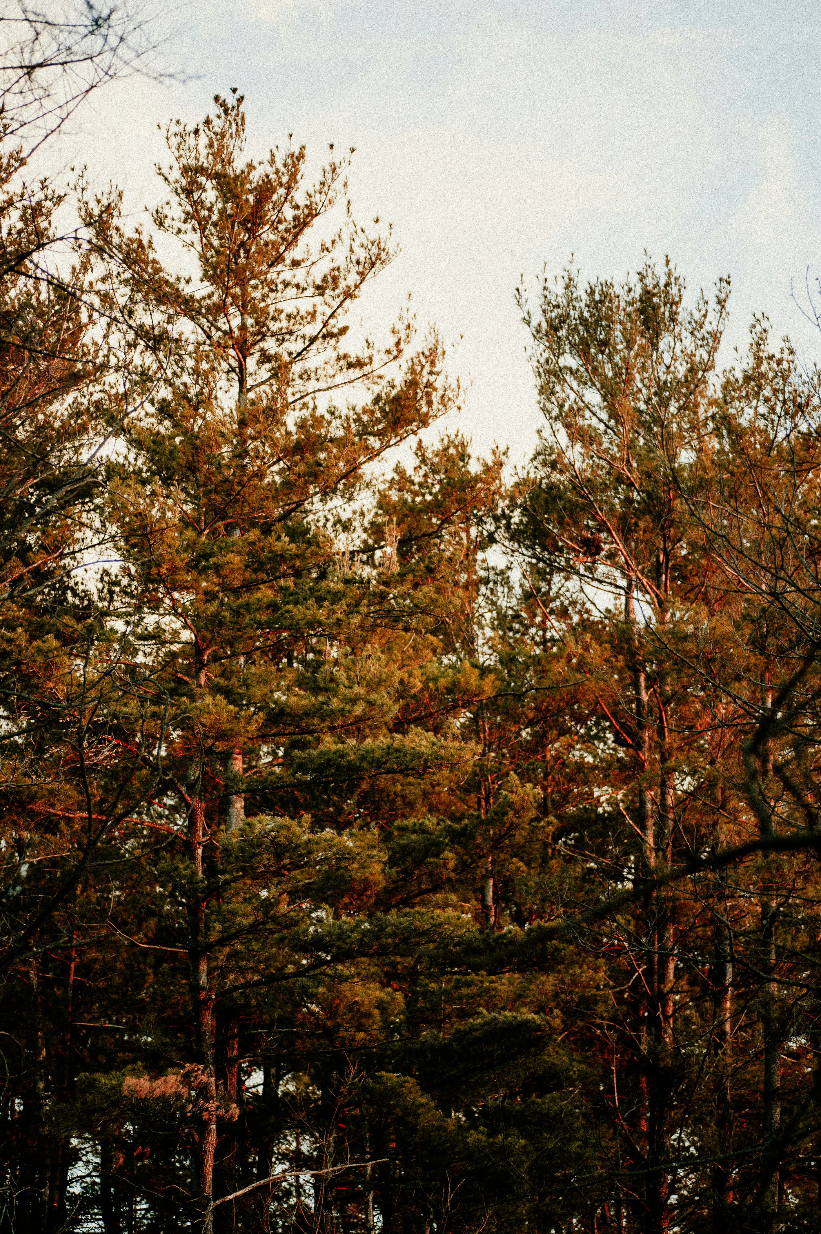 Photo by prairiepilgrim