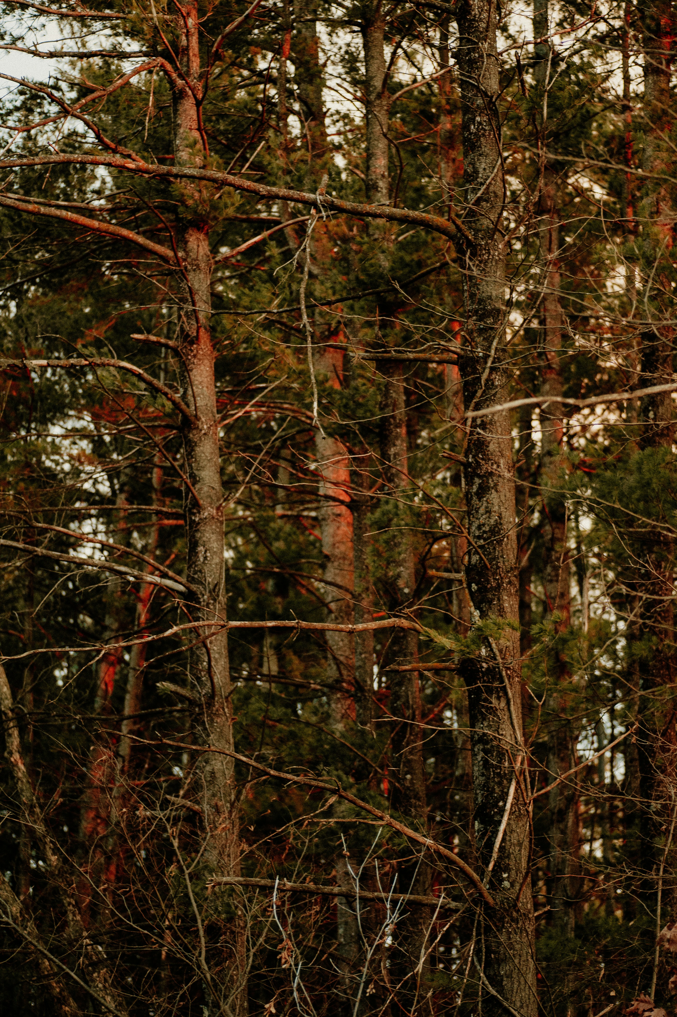 Photo by prairiepilgrim