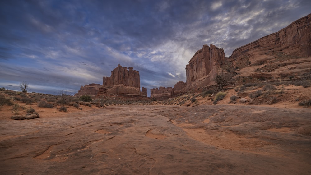 a dirt road in the middle of a desert