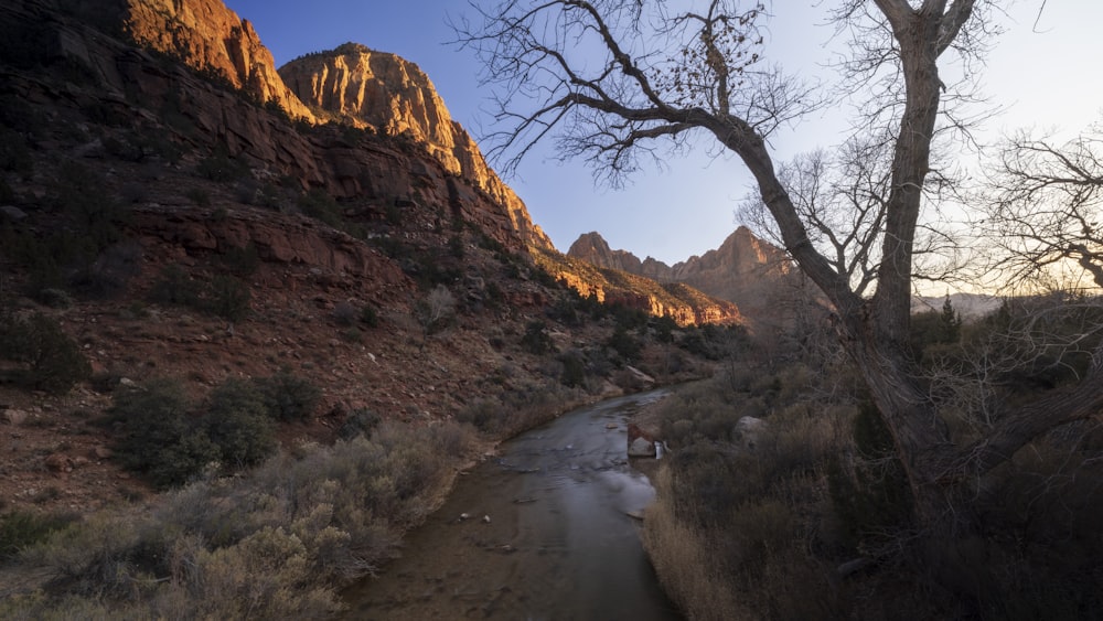 a river running through a canyon surrounded by mountains