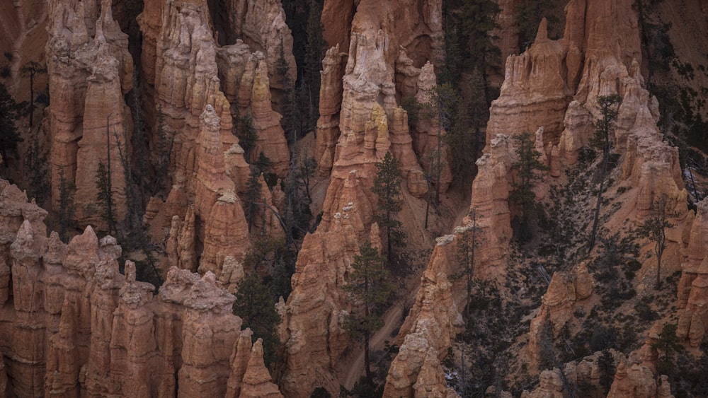 un grupo de grandes rocas con árboles que crecen en ellas