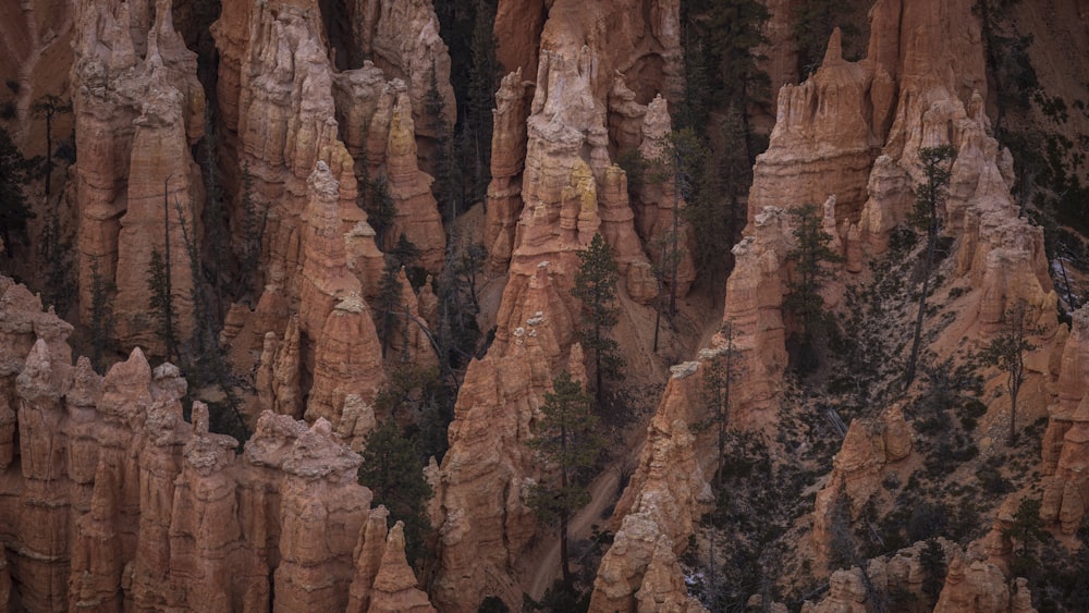 a group of large rocks with trees growing out of them