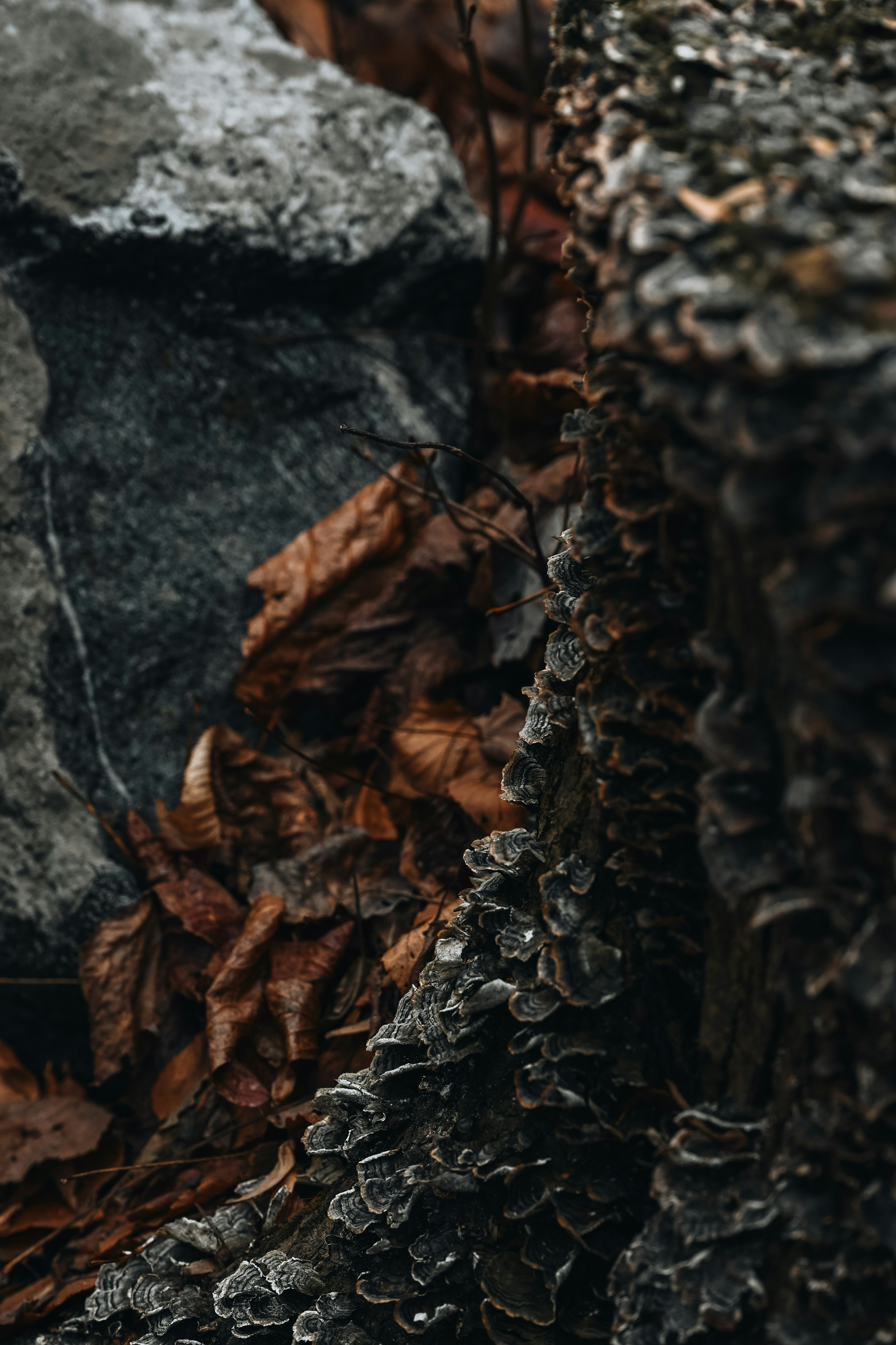 Photo by vargassantos