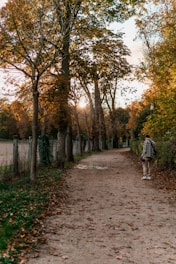 A warm-toned image of a person walking on a sunlit path surrounded by autumn trees with yellow and brown leaves.