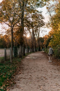 A model in elegant attire walking along a sunlit pathway lined with golden autumn leaves.