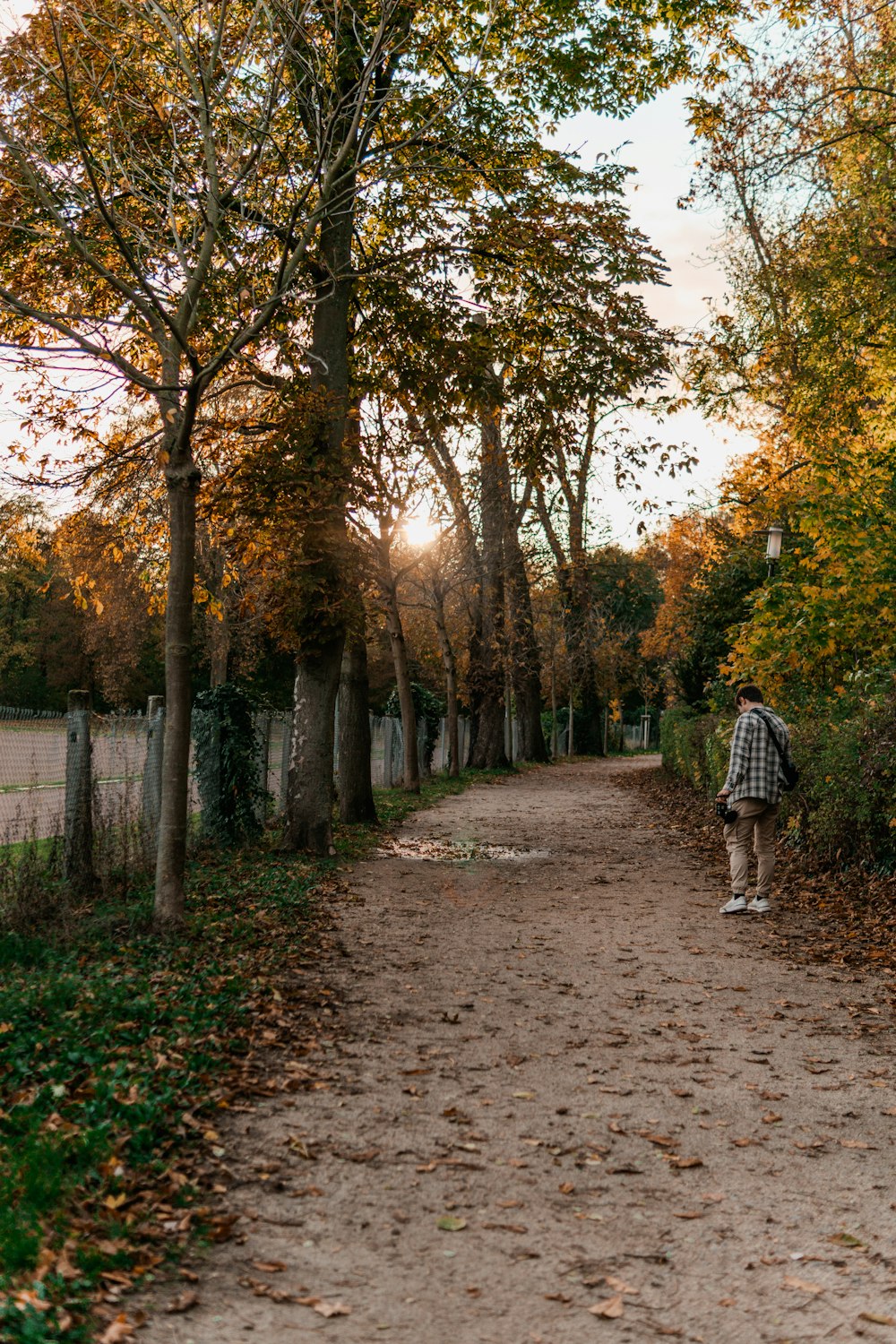 a person walking down a dirt road next to trees