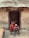 An elderly person wearing a red sari sits beside a large dog in front of a rustic, traditional mud house. The person appears contemplative or pensive, with a hand resting on their head. A charpoy, or traditional woven bed, is visible to the side.