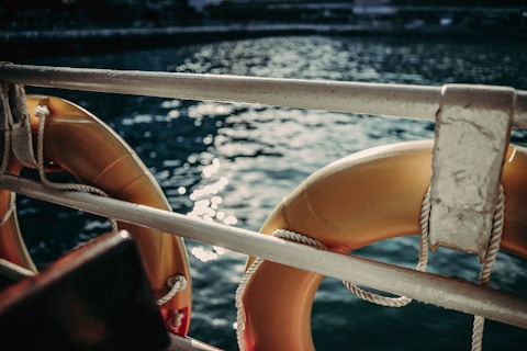 Two life buoys are attached to a metallic railing, overlooking a body of water with sunlight reflecting off its surface.