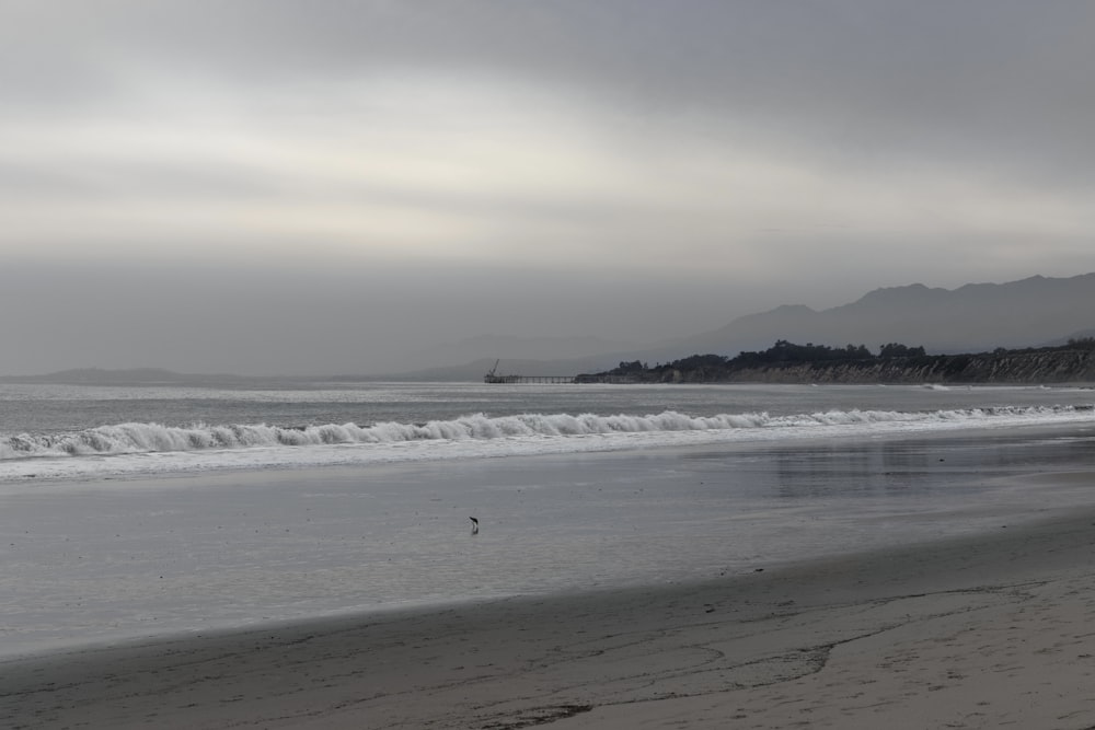 a person walking on a beach near the ocean