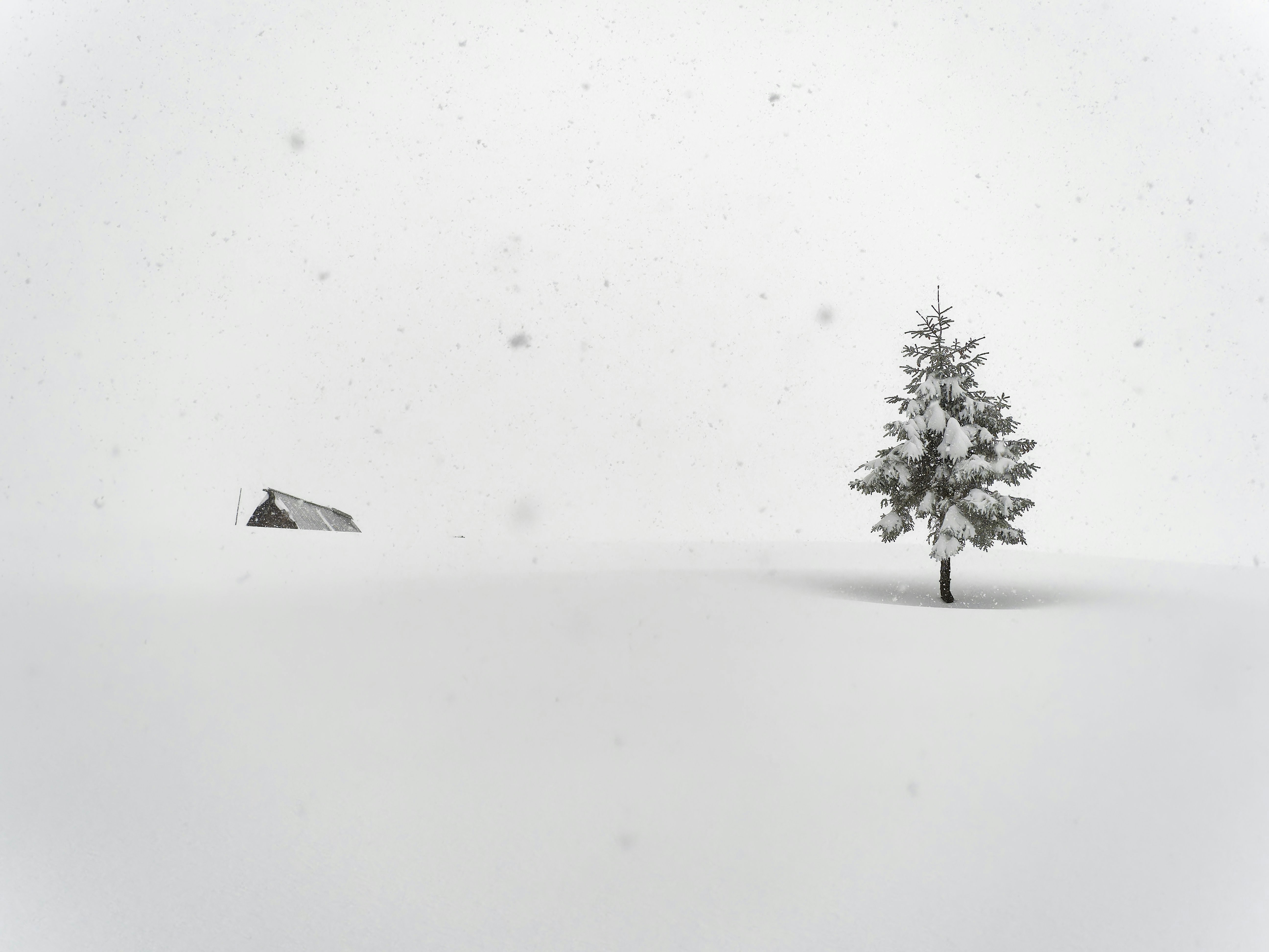 Photo by illes_cristi