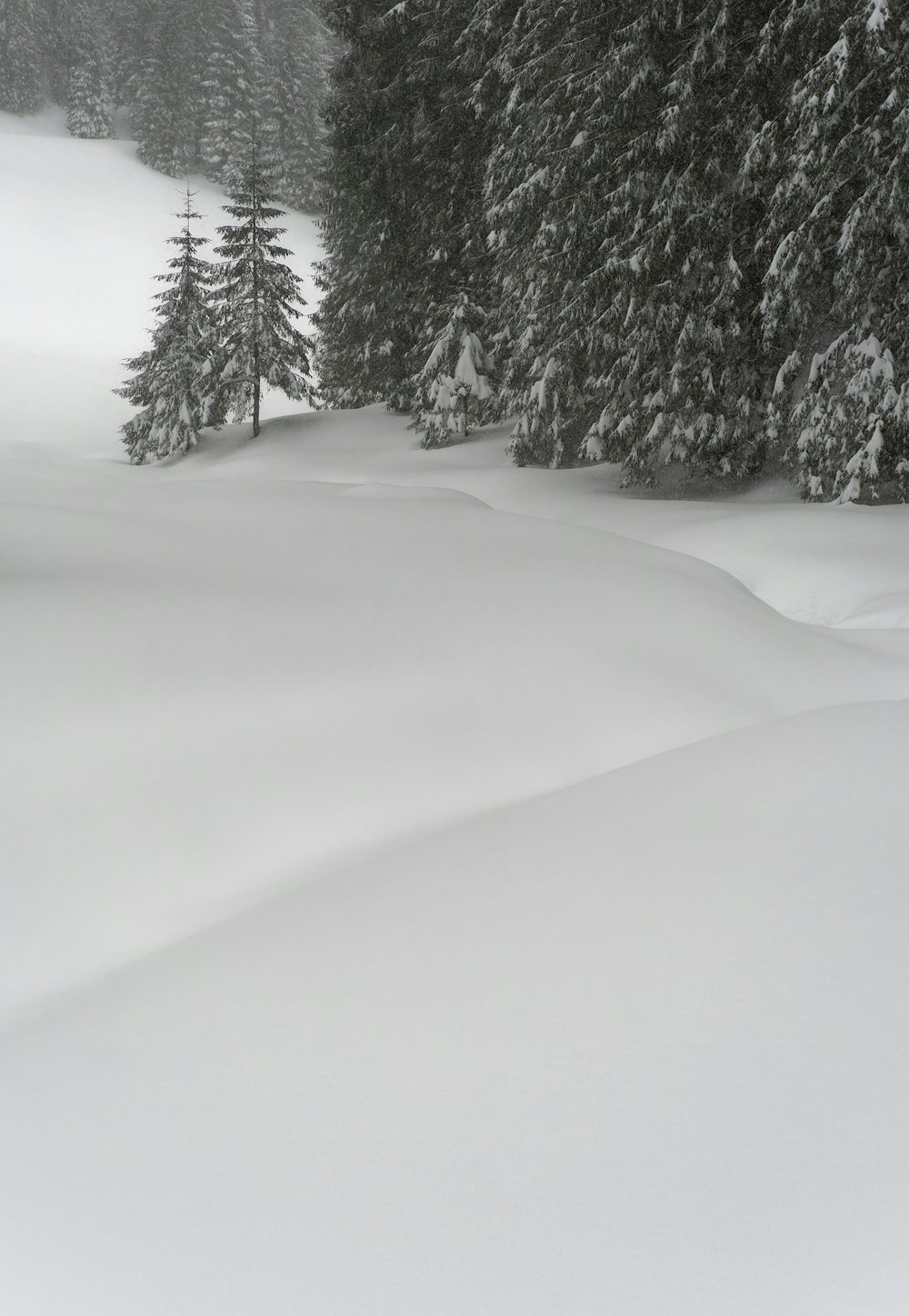 a person riding skis down a snow covered slope