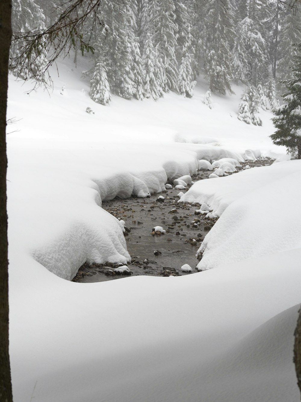 a stream running through a snow covered forest