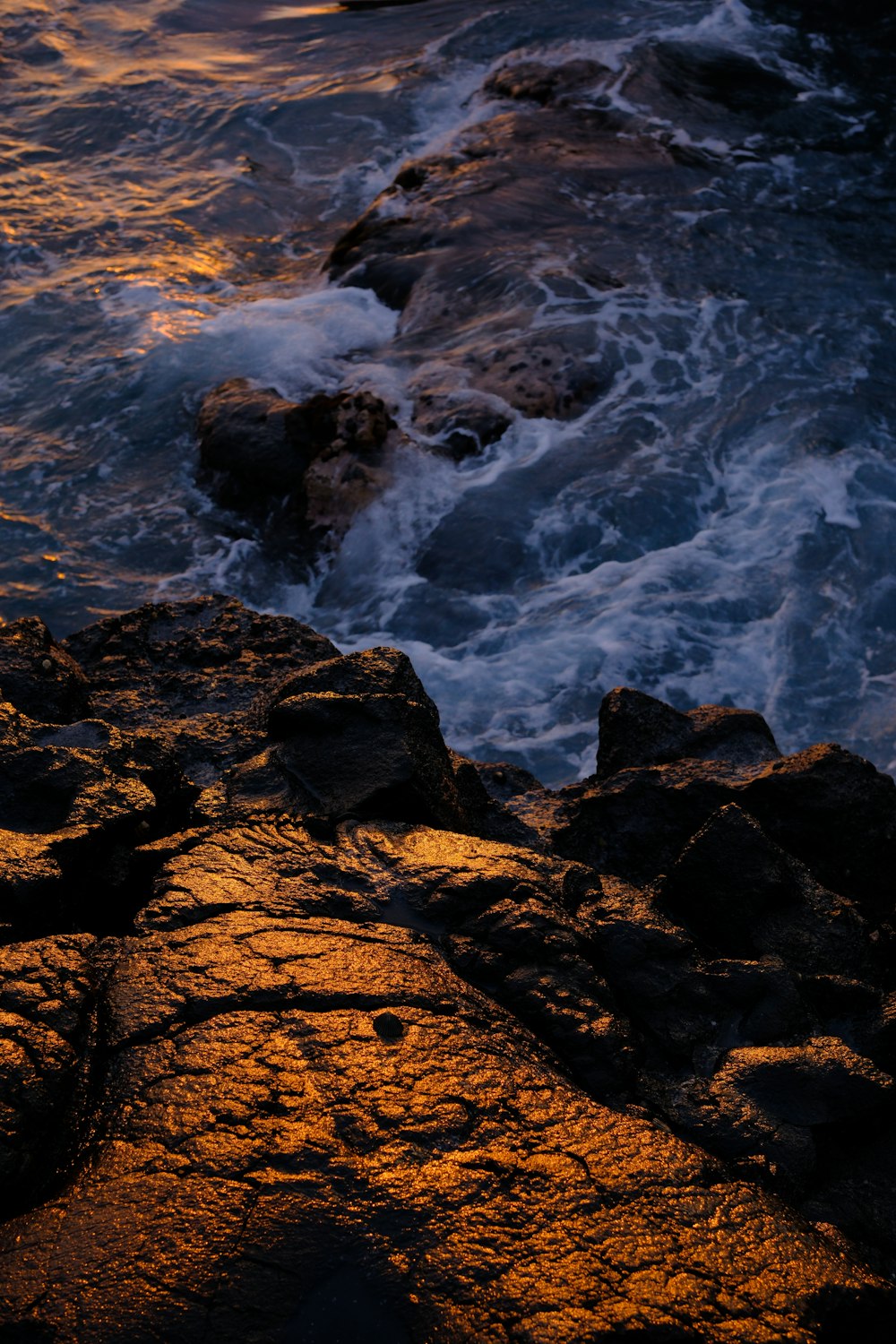 a bird sitting on a rock next to the ocean