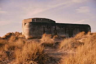 A large, weathered concrete bunker is situated in a landscape dominated by dry, golden grass and sand dunes. The structure appears abandoned and stands solidly against a sky painted with soft pastel shades of pink and blue, indicating either sunrise or sunset.