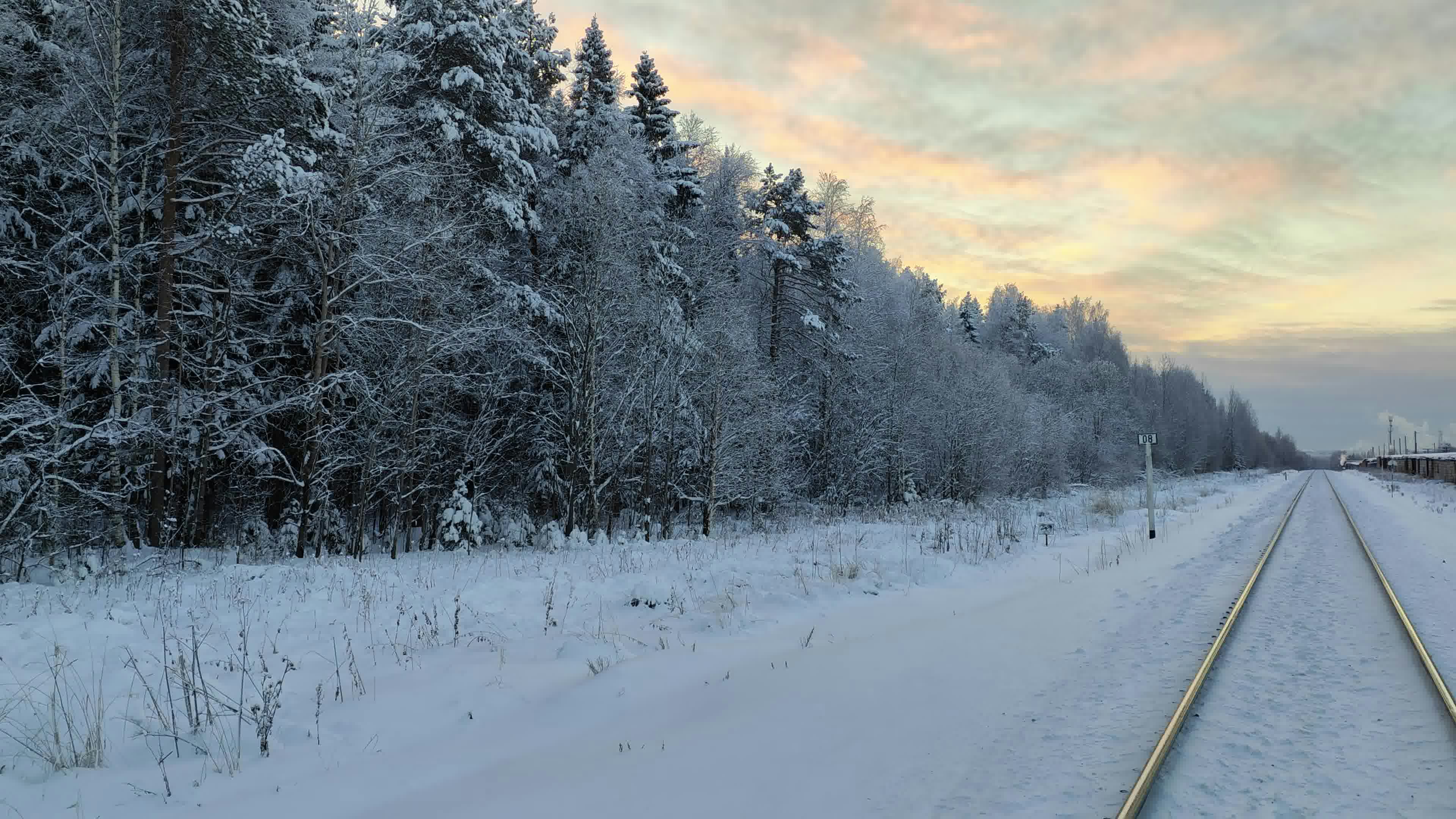 a train track running through a snow covered forest
