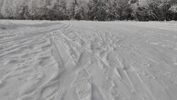 A snow-covered landscape with tracks in the snow stretching towards a dense, frosty forest. The sky is overcast, adding to the wintry atmosphere.