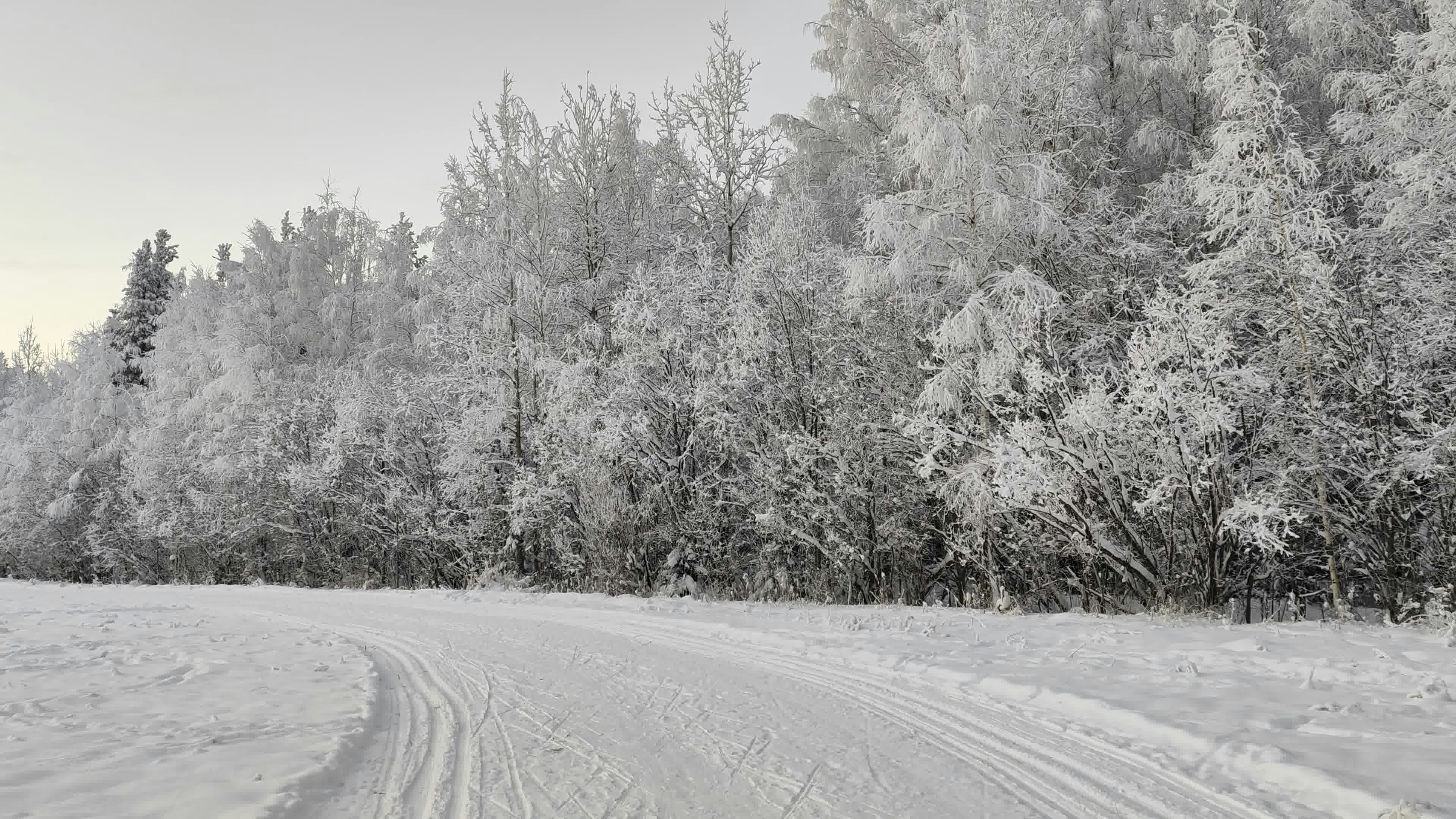 a snow covered road in front of a forest