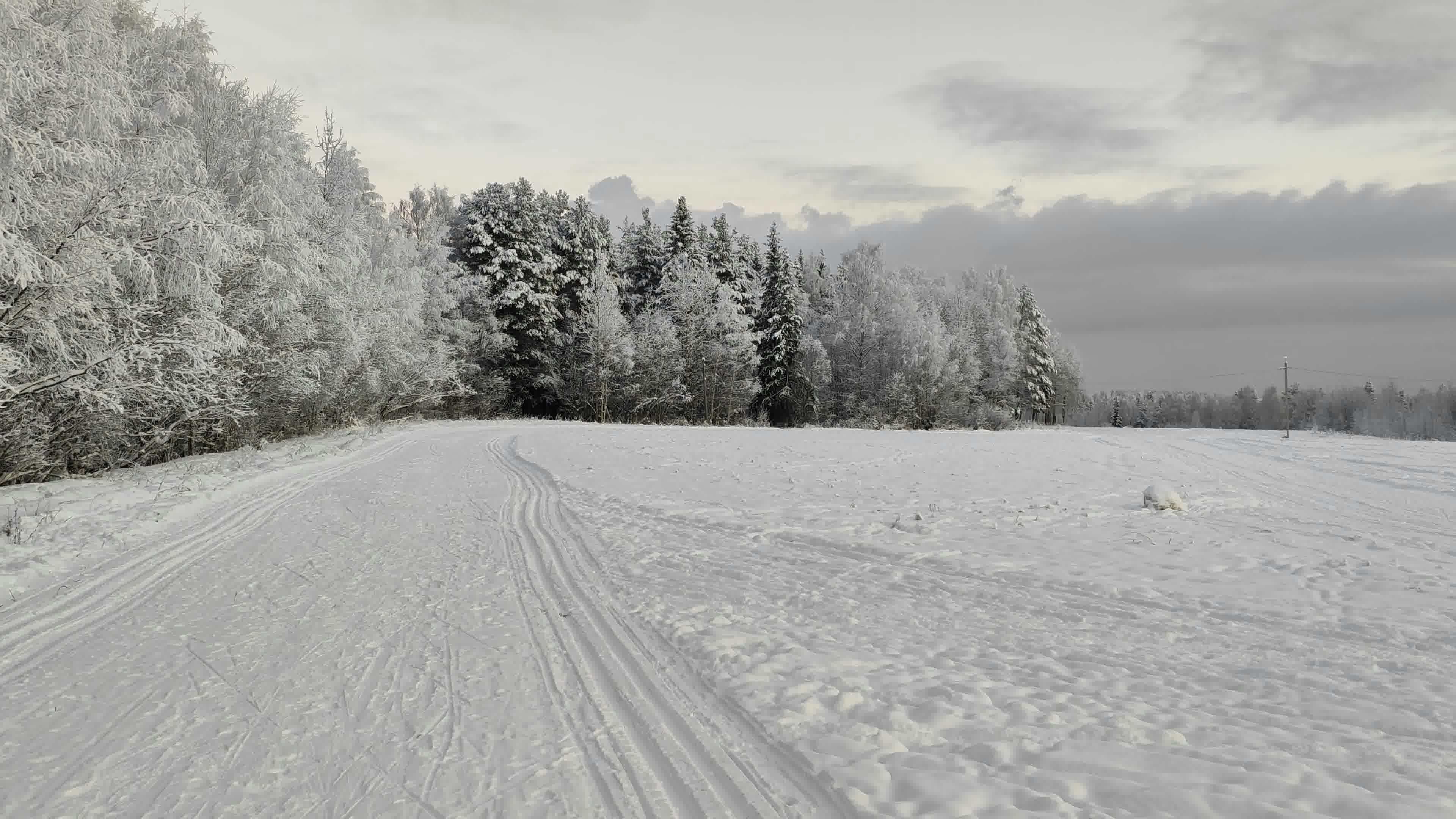 a person riding skis on a snowy surface