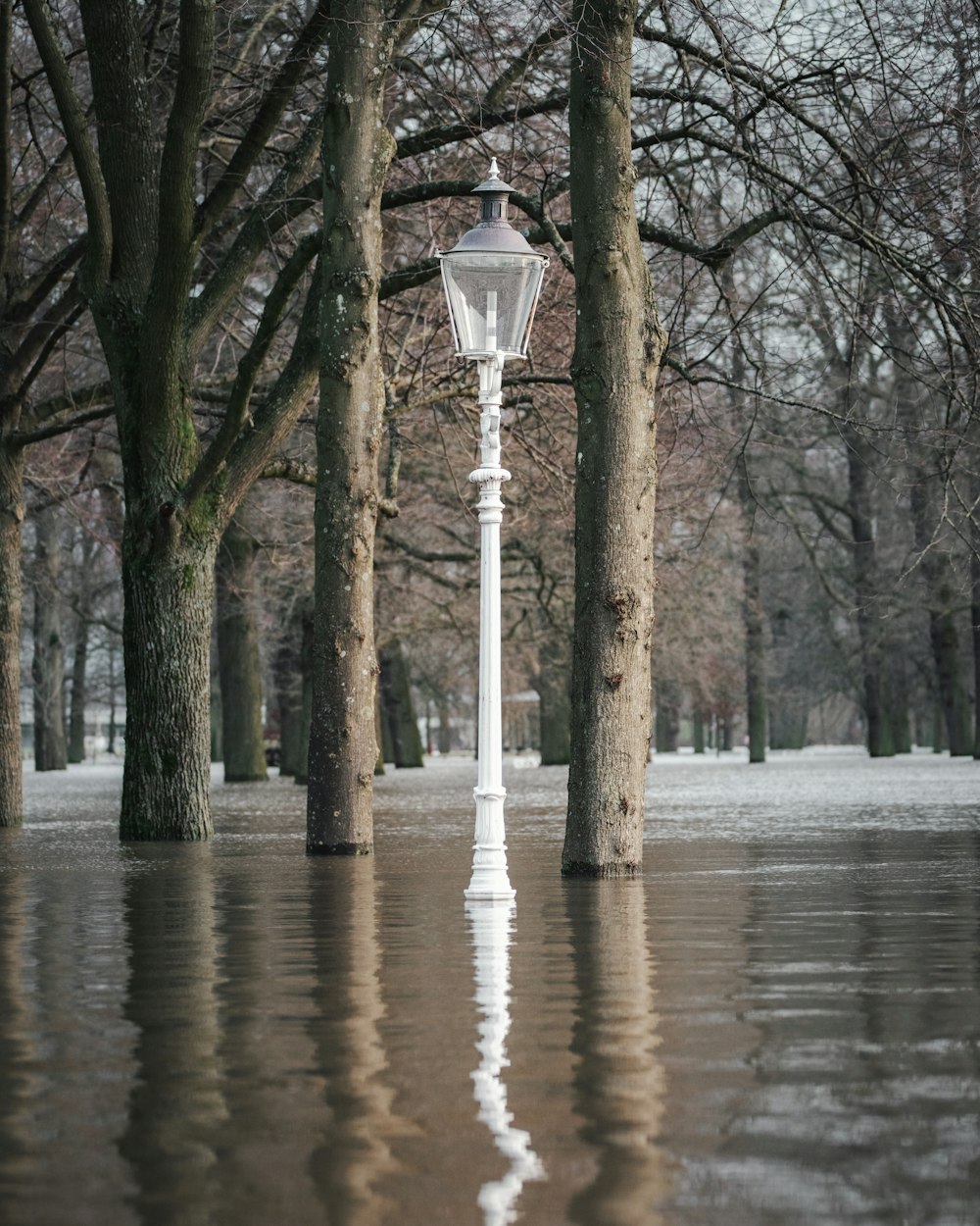 a street light surrounded by water and trees