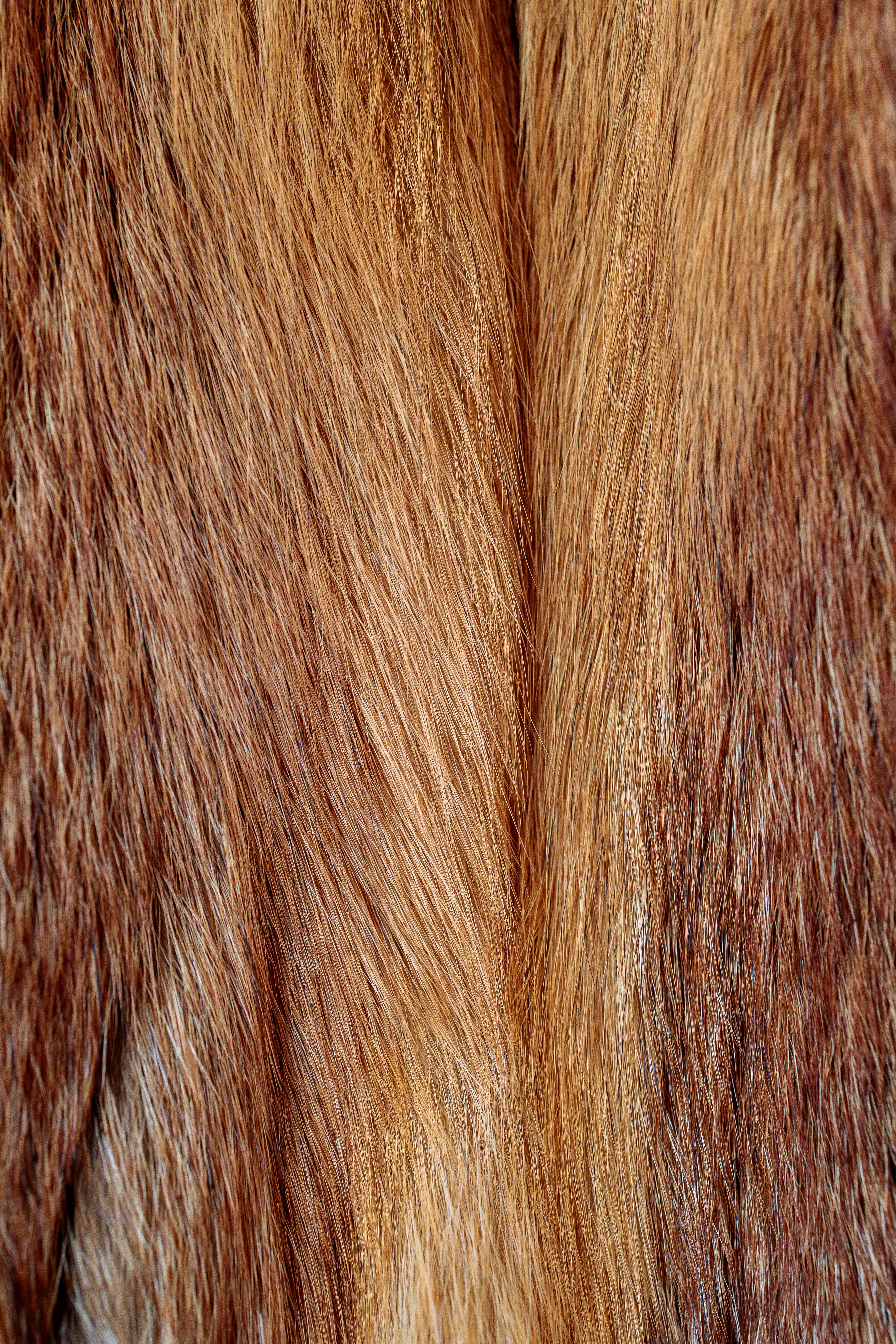 Hair as a Biomarker: What Strands Reveal About Your Health