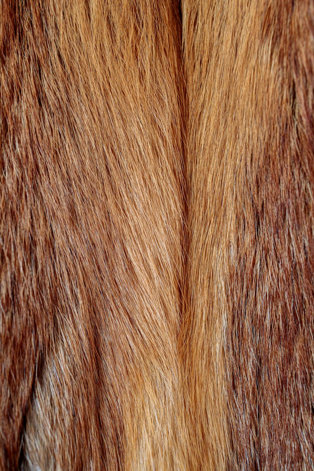 a close up of the fur of a horse